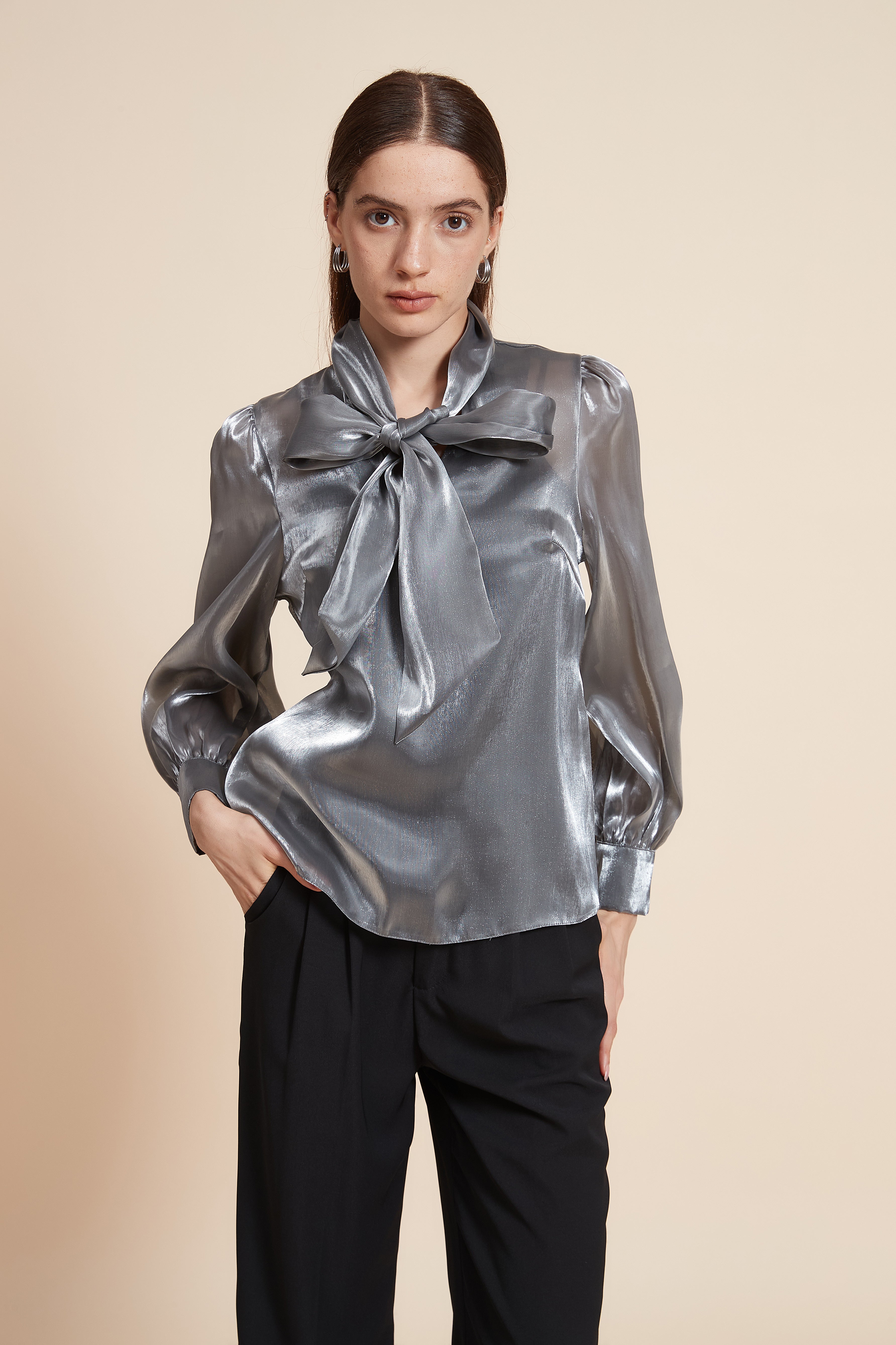 Mid-Length Long Sleeve Blouse with Tie