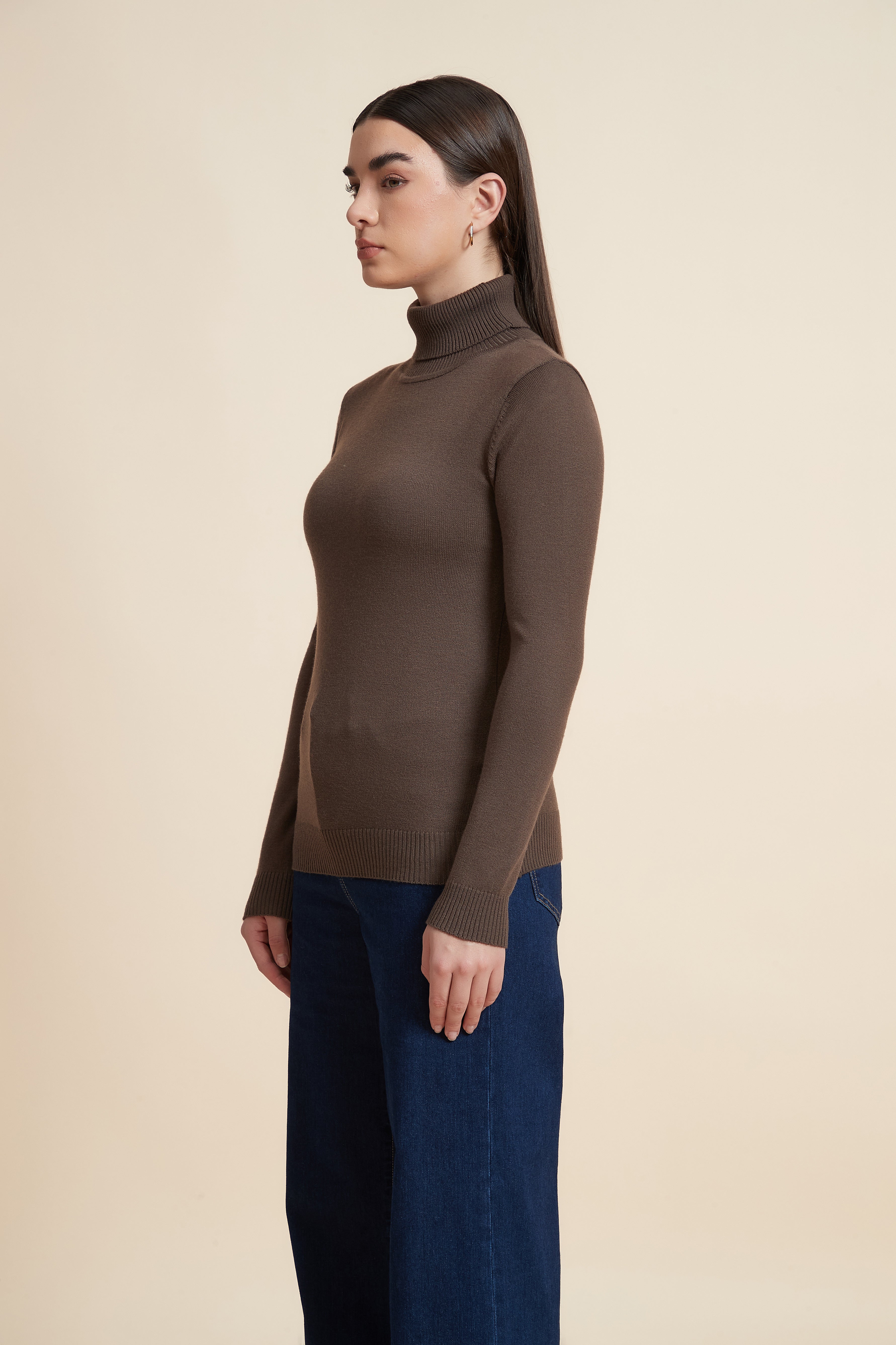 Long Sleeve Solid Blouse with High Neck
