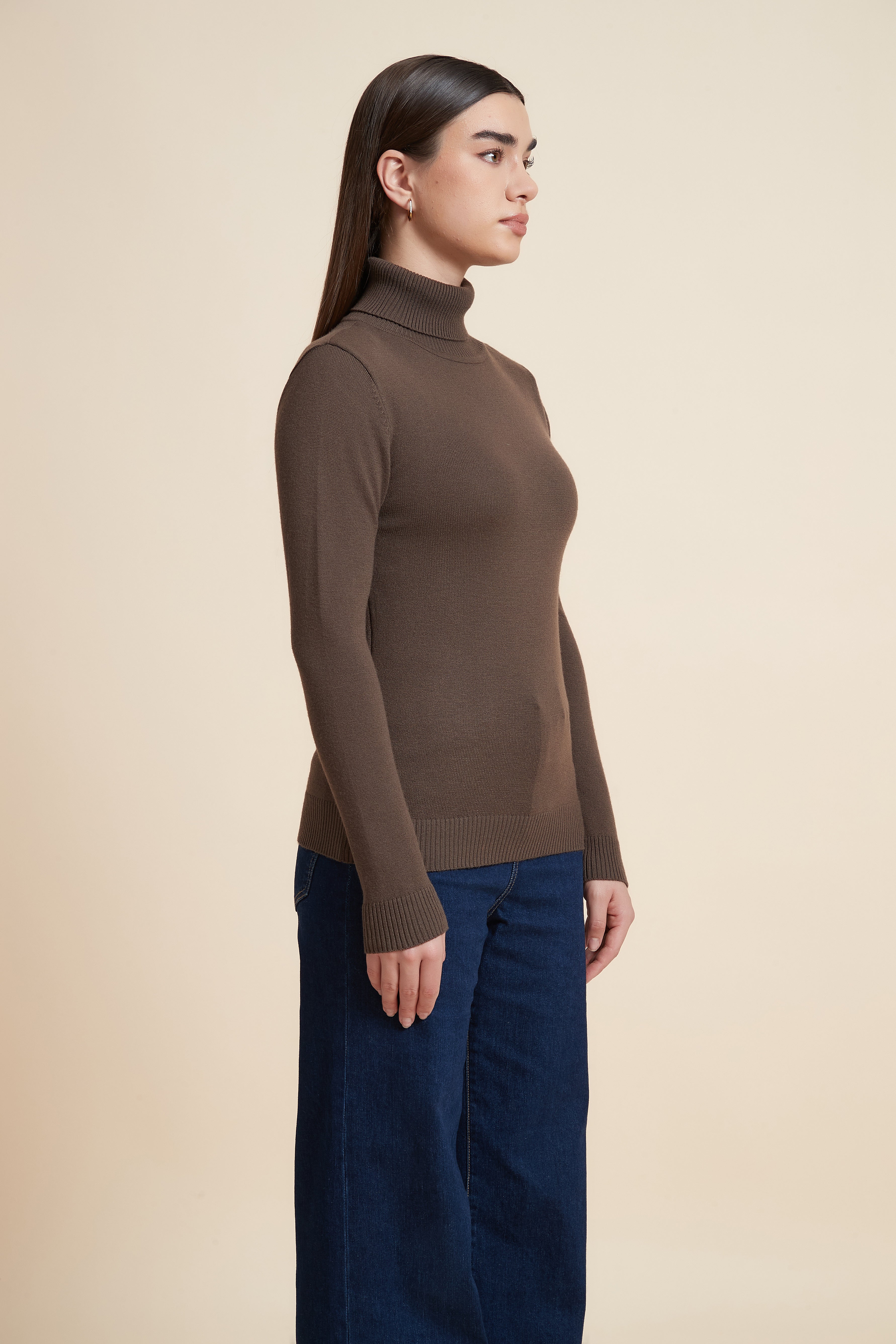 Long Sleeve Solid Blouse with High Neck