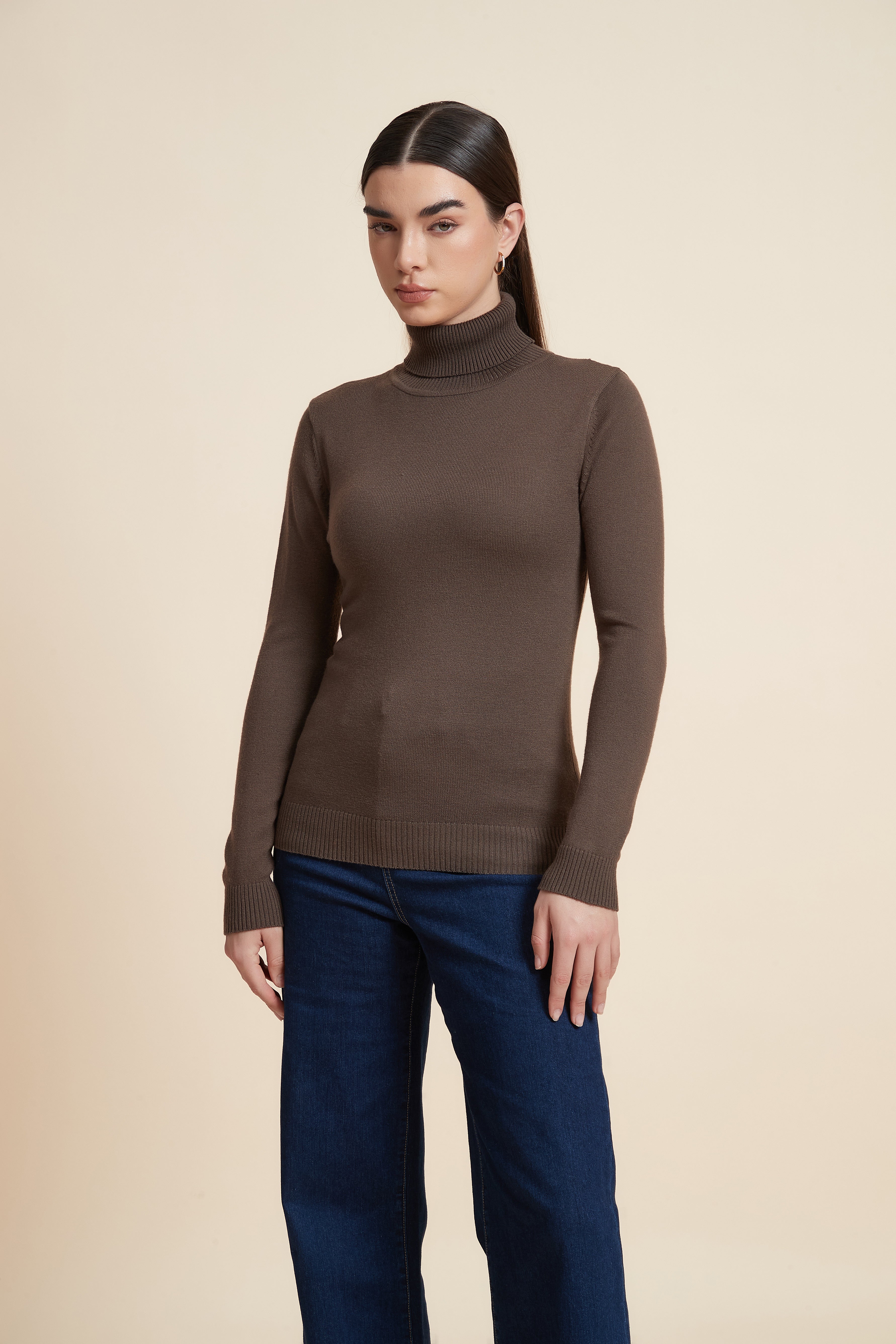 Long Sleeve Solid Blouse with High Neck