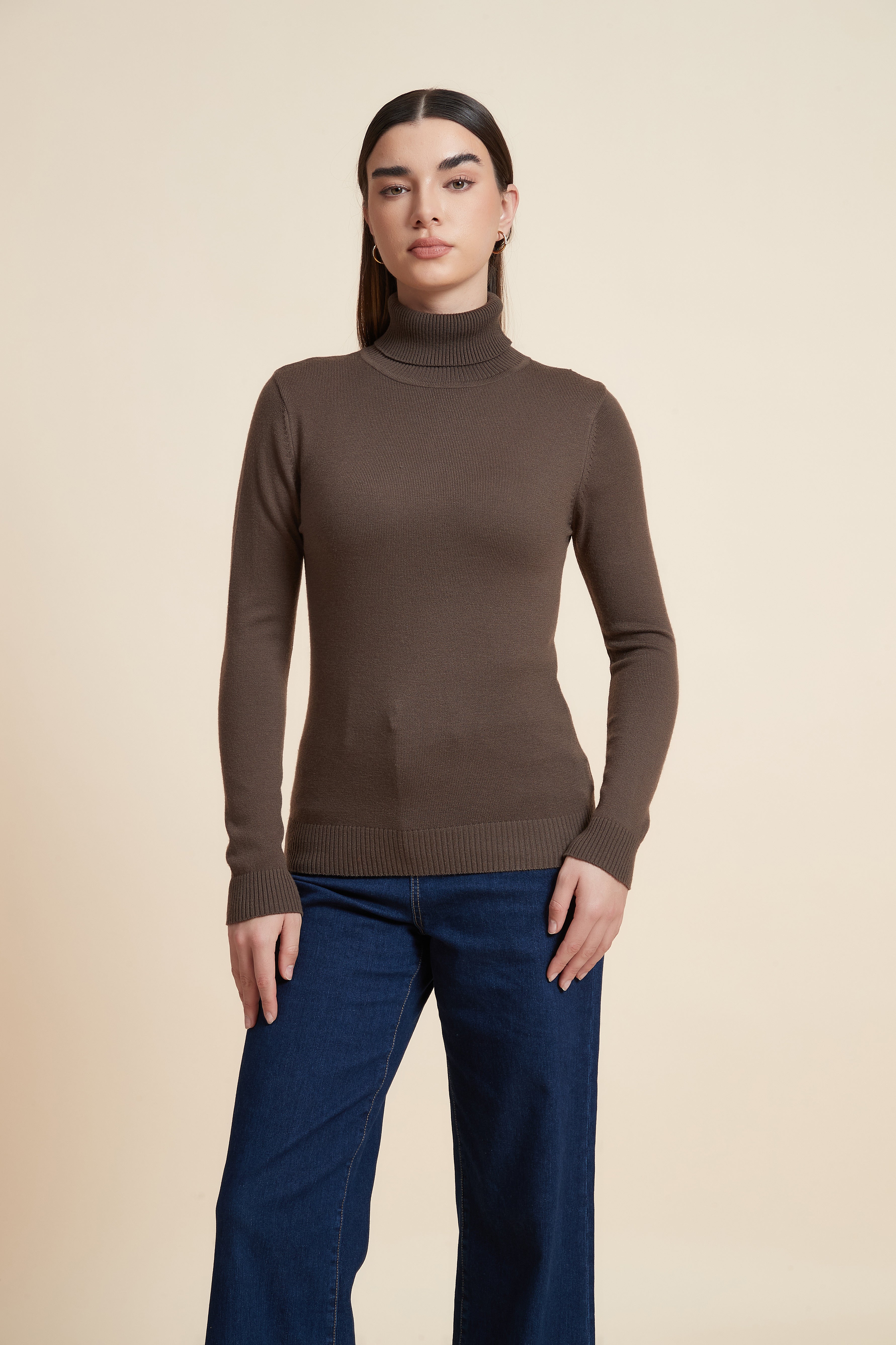 Long Sleeve Solid Blouse with High Neck
