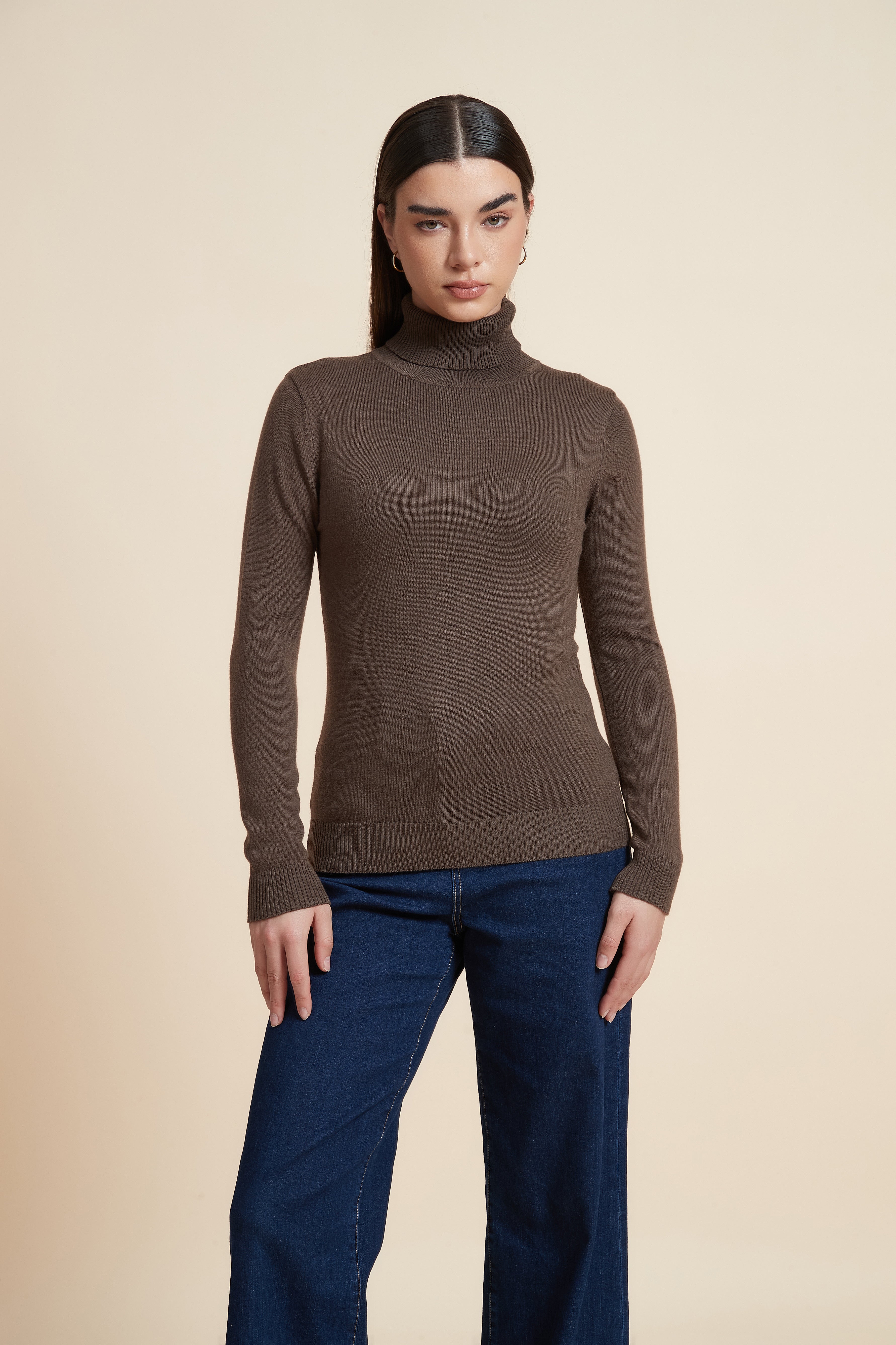 Long Sleeve Solid Blouse with High Neck