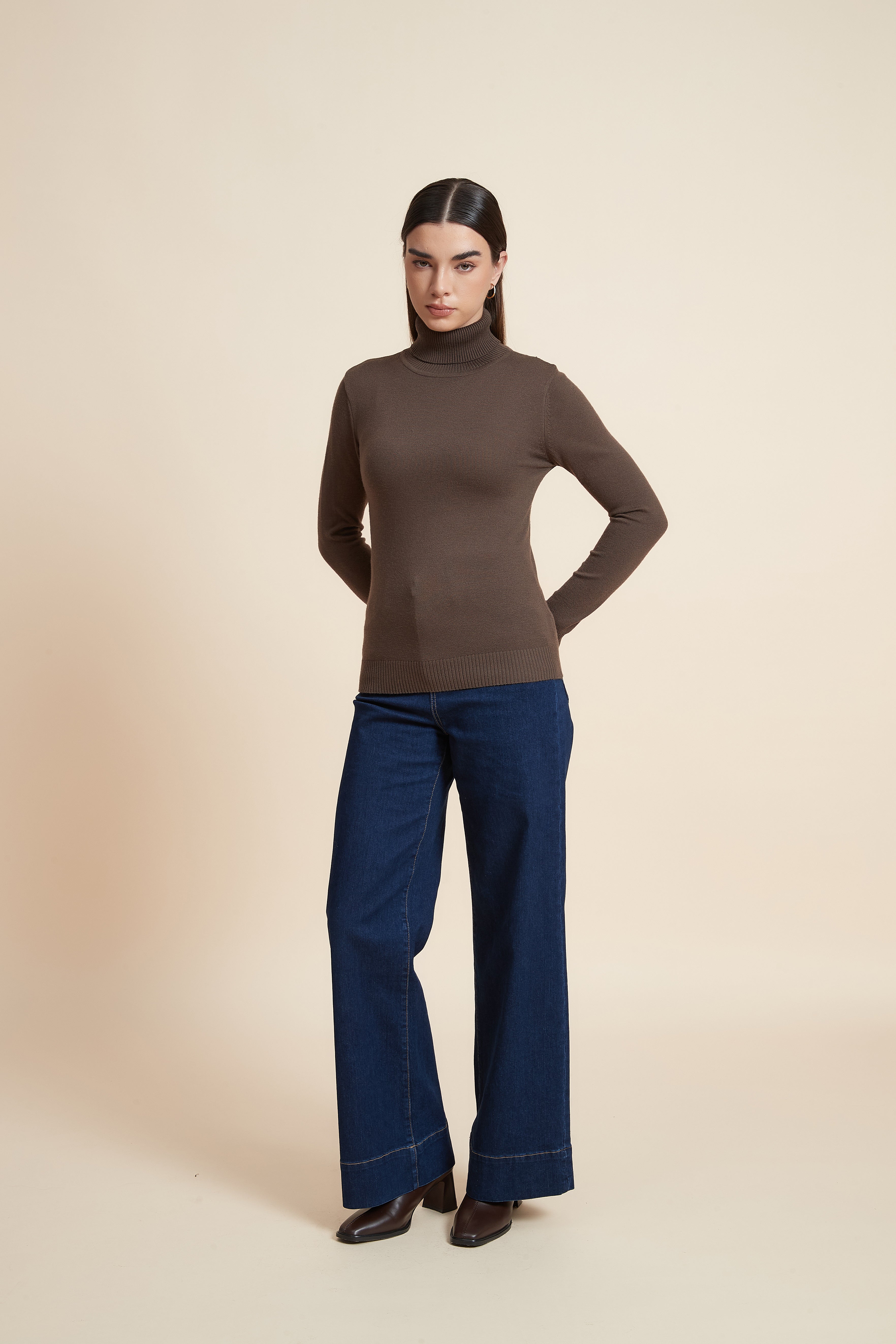 Long Sleeve Solid Blouse with High Neck