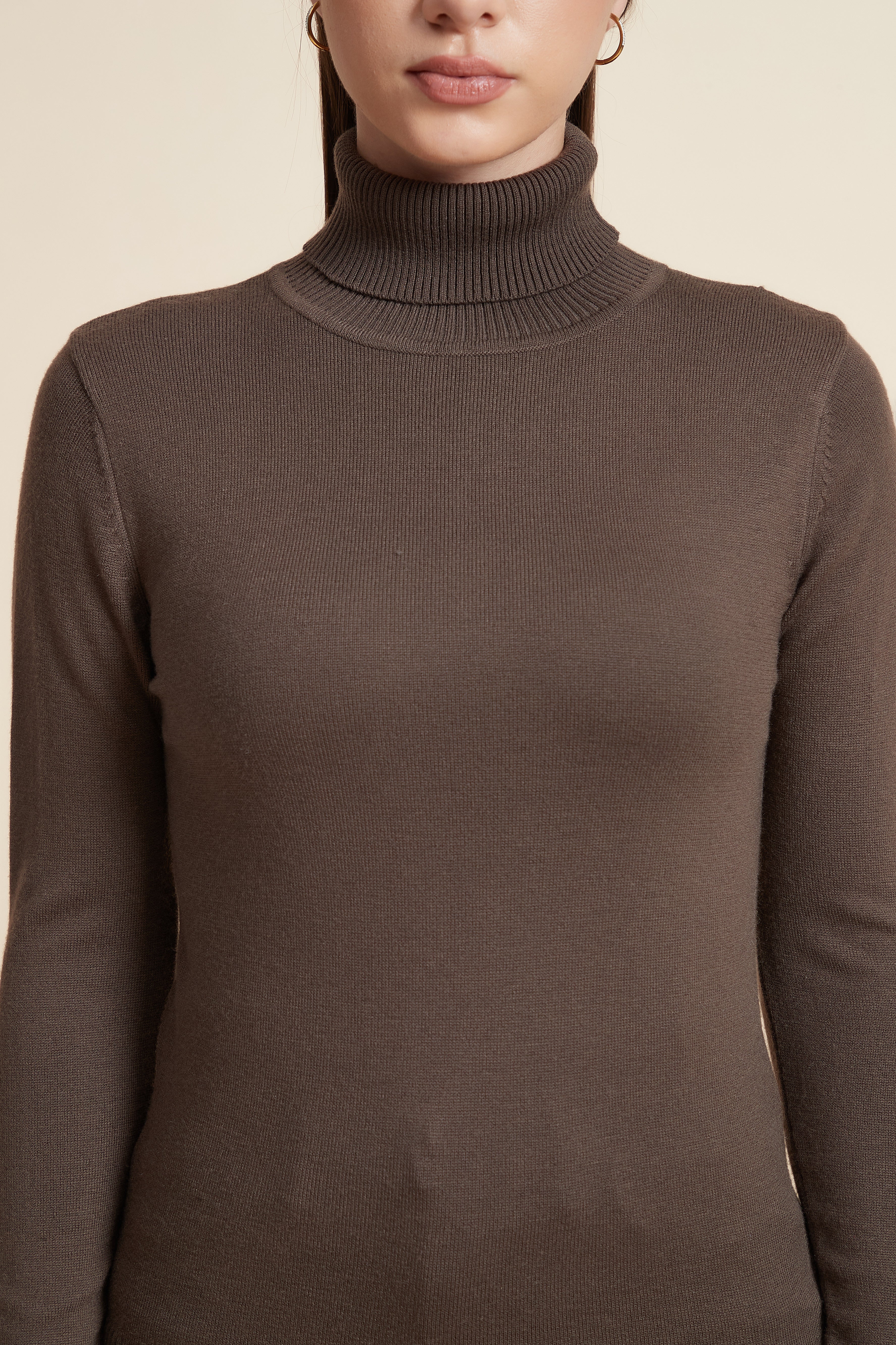 Long Sleeve Solid Blouse with High Neck