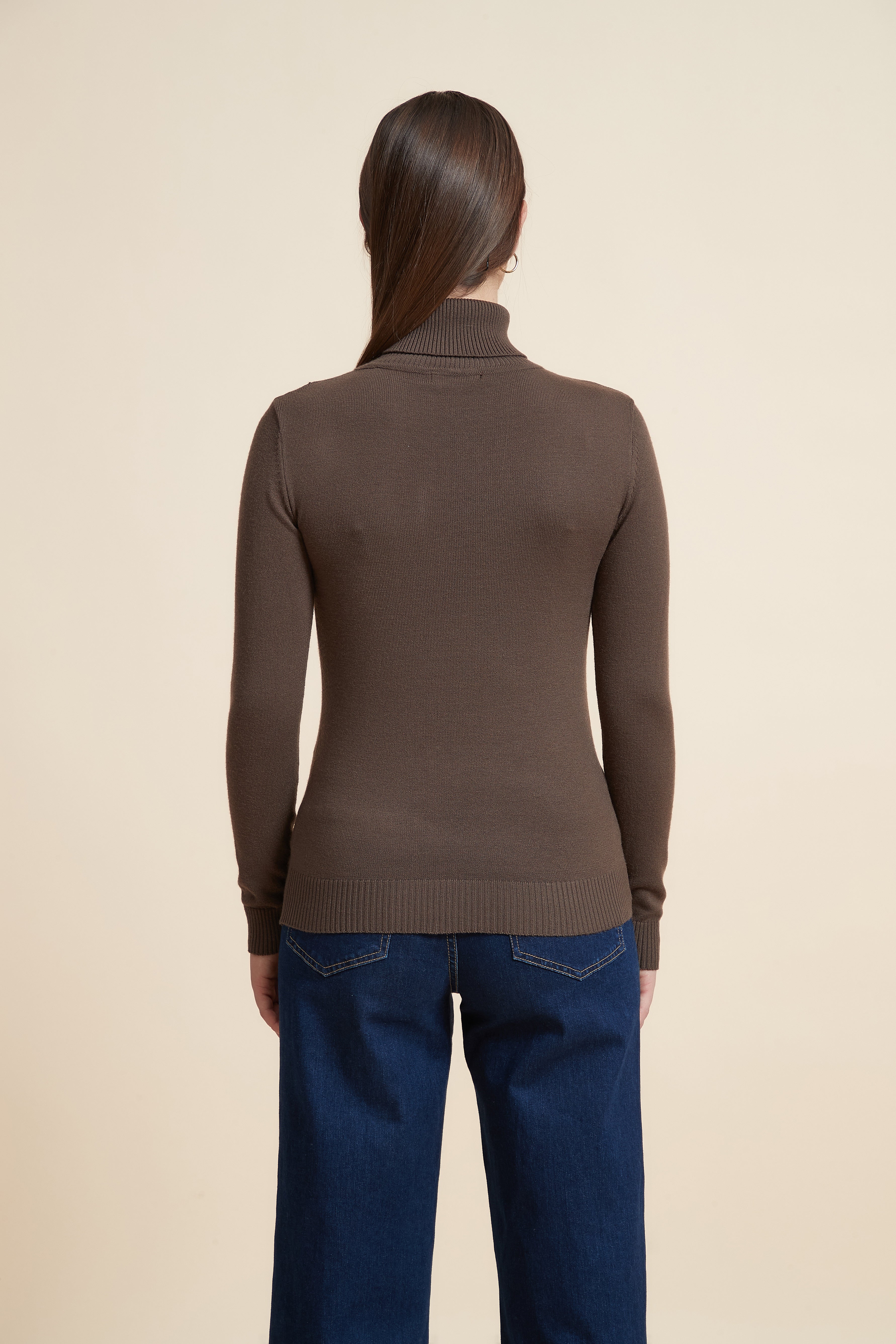 Long Sleeve Solid Blouse with High Neck