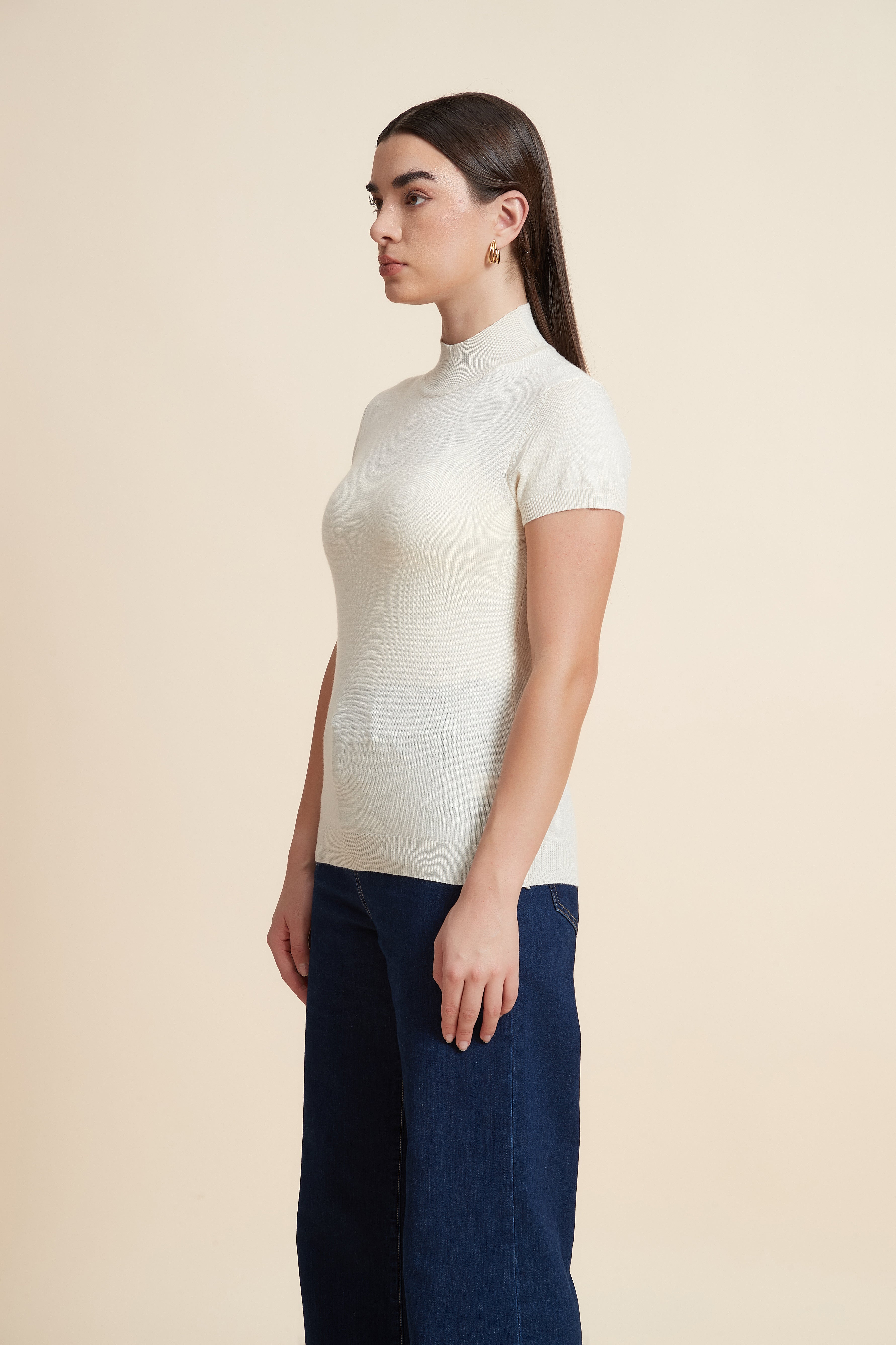 Solid Color High Neck Short Sleeve Blouse