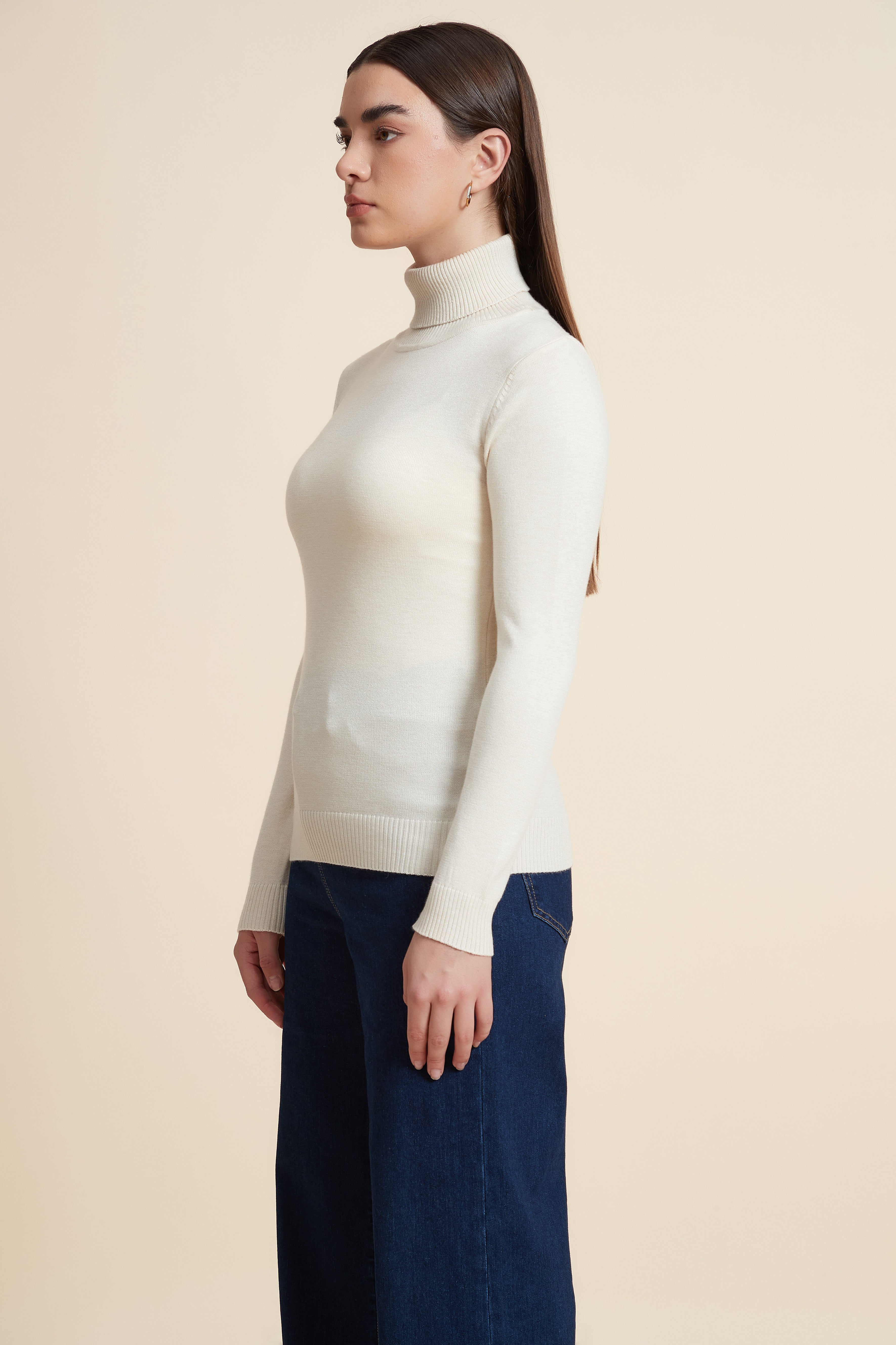 Long Sleeve Solid Blouse with High Neck