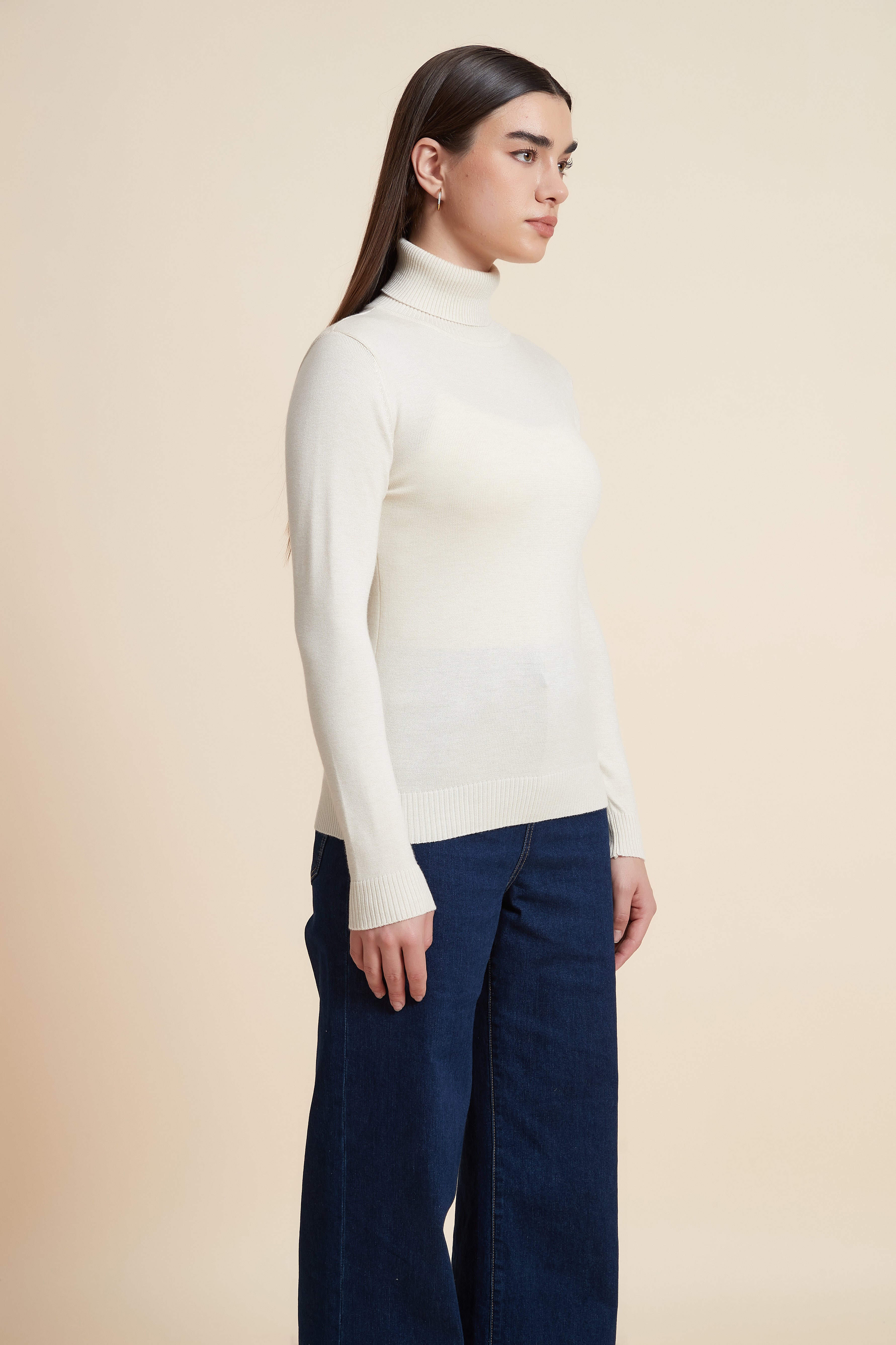 Long Sleeve Solid Blouse with High Neck