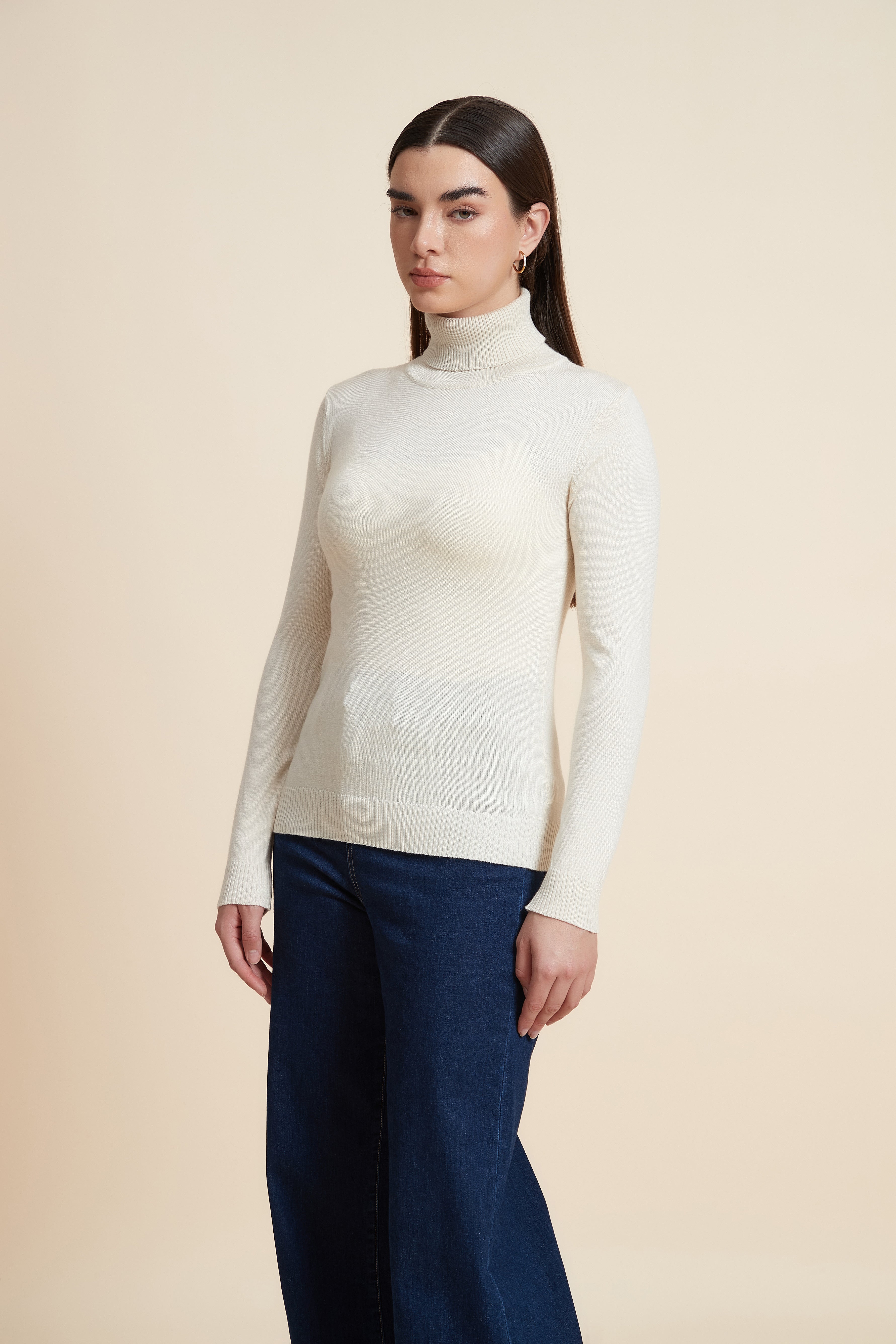 Long Sleeve Solid Blouse with High Neck