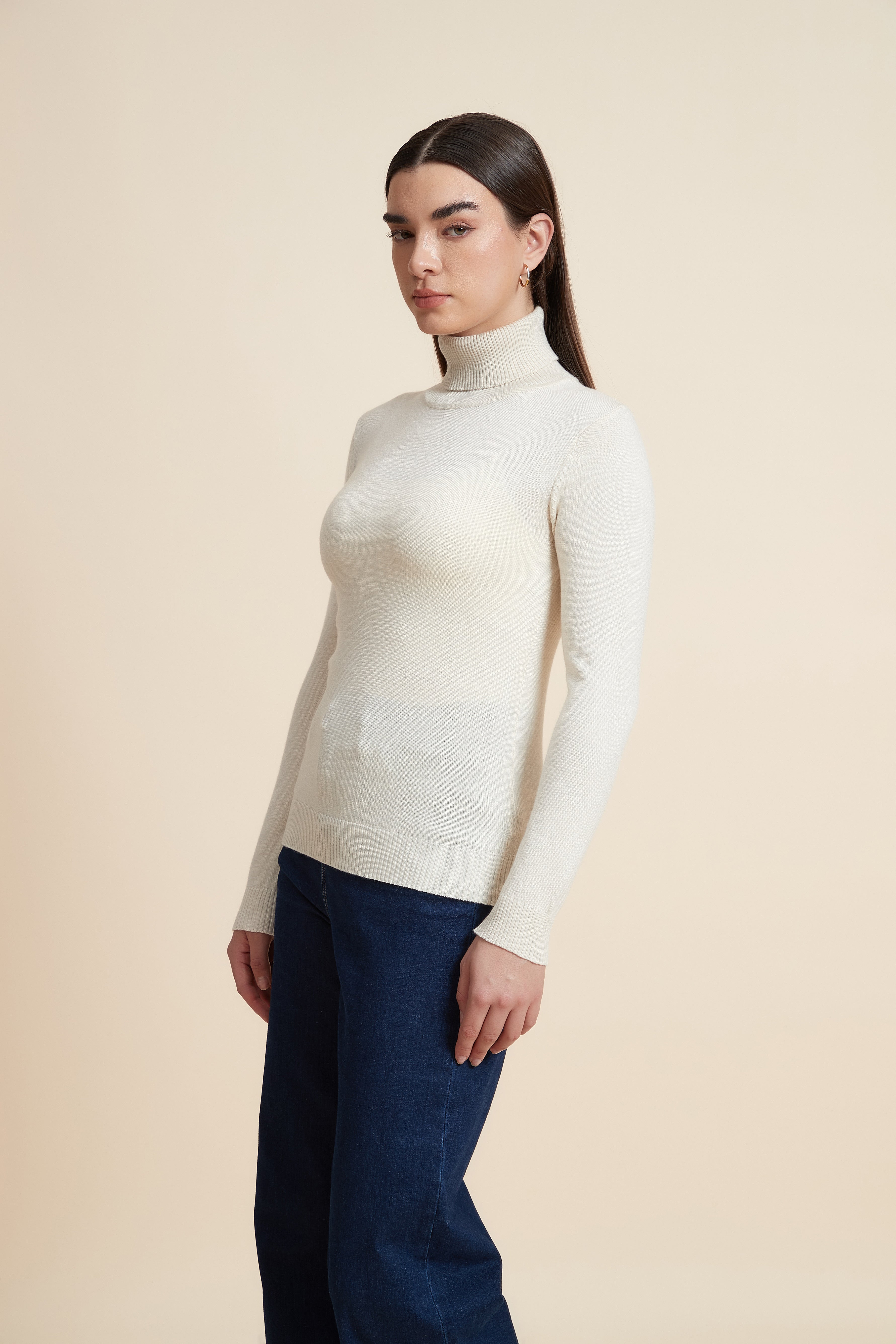Long Sleeve Solid Blouse with High Neck