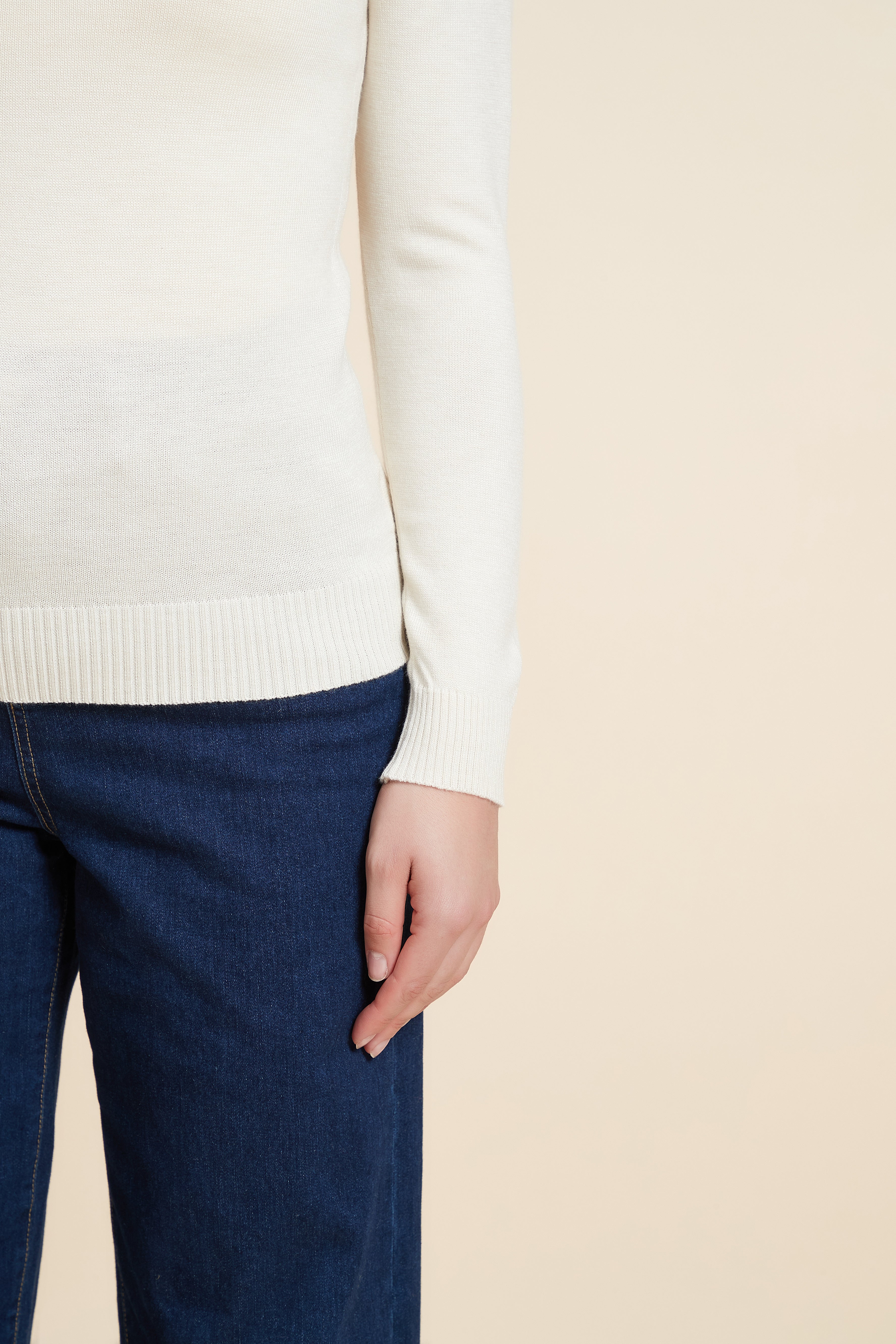 Long Sleeve Solid Blouse with High Neck