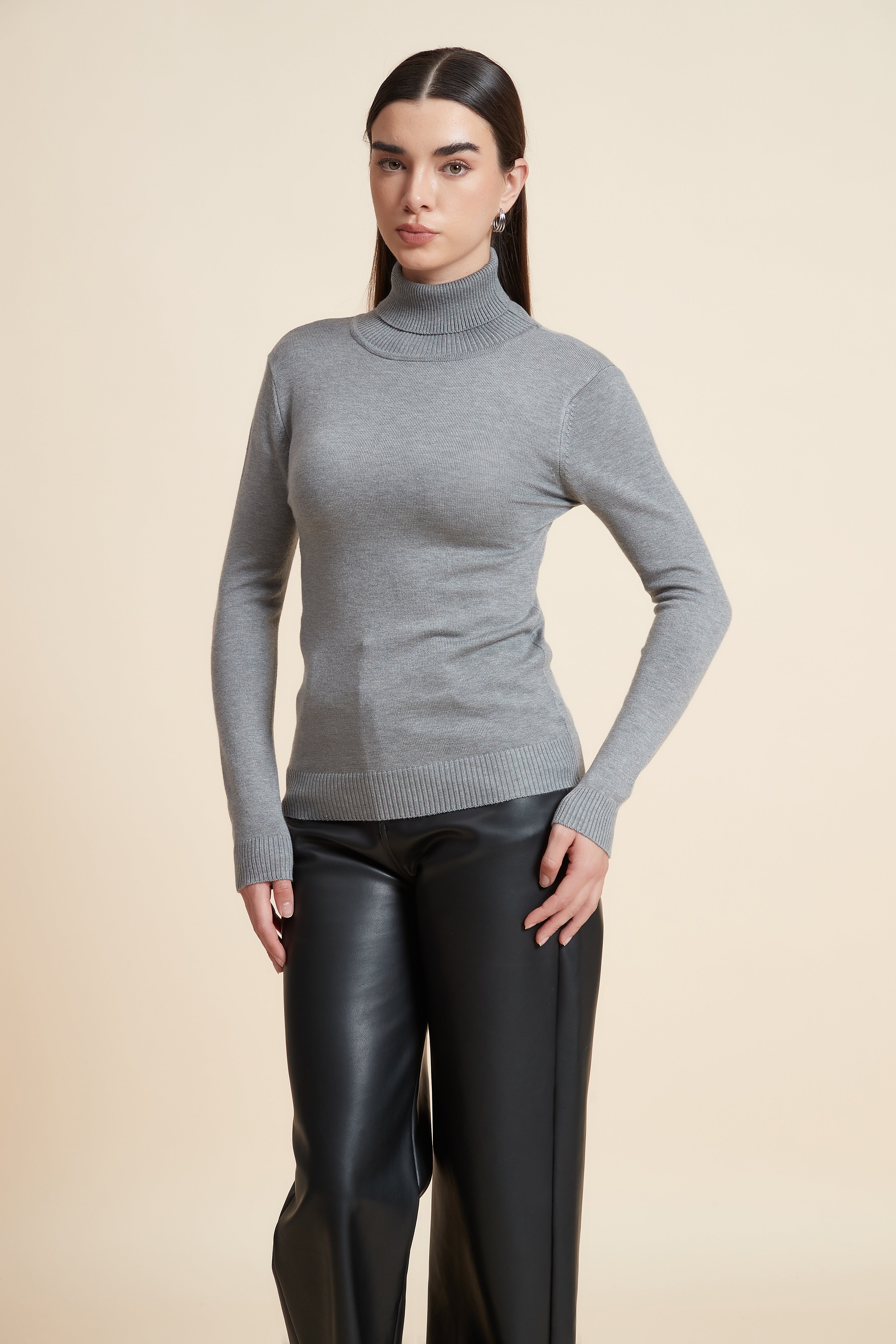 Long Sleeve Solid Blouse with High Neck