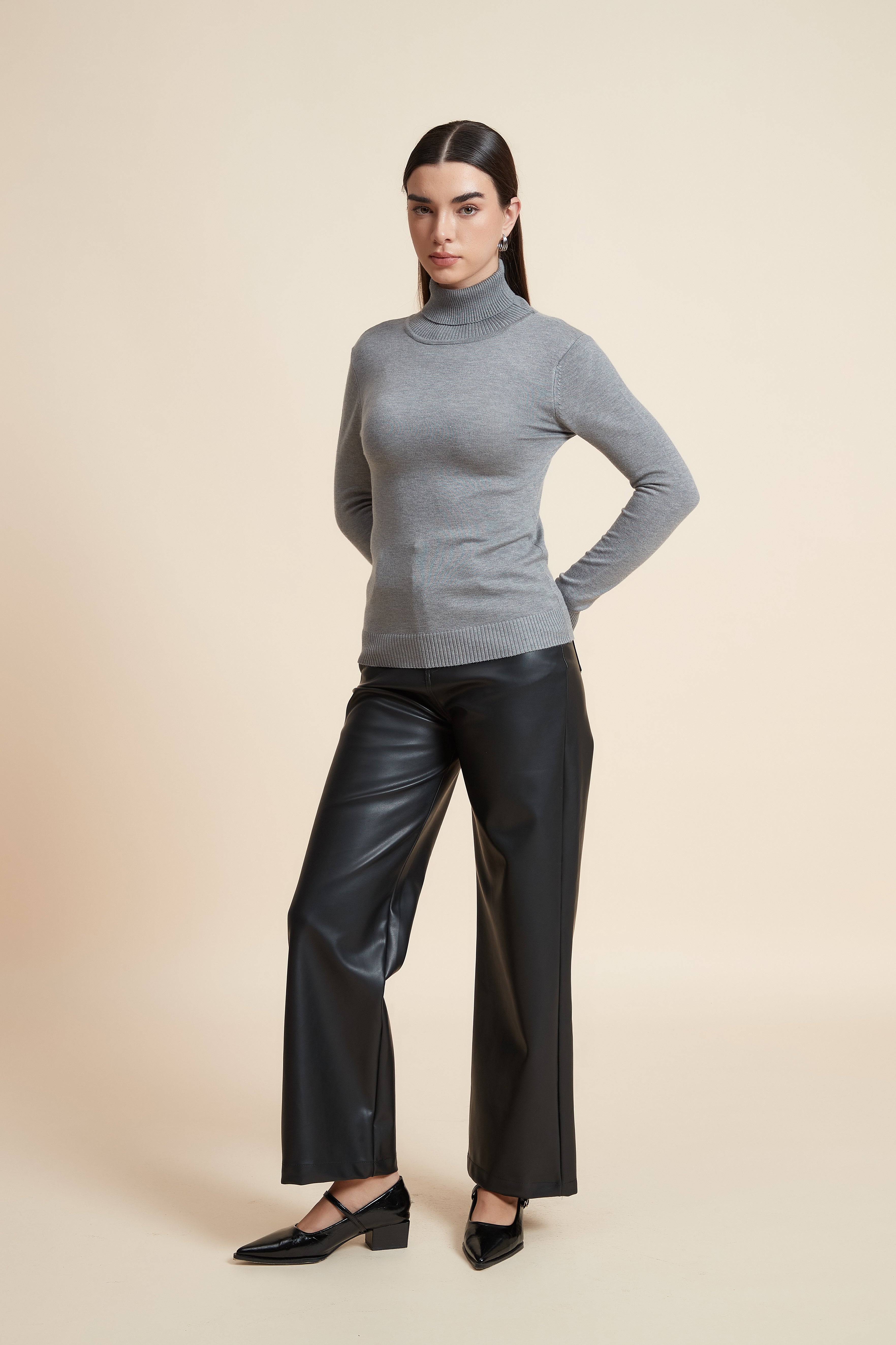 Long Sleeve Solid Blouse with High Neck