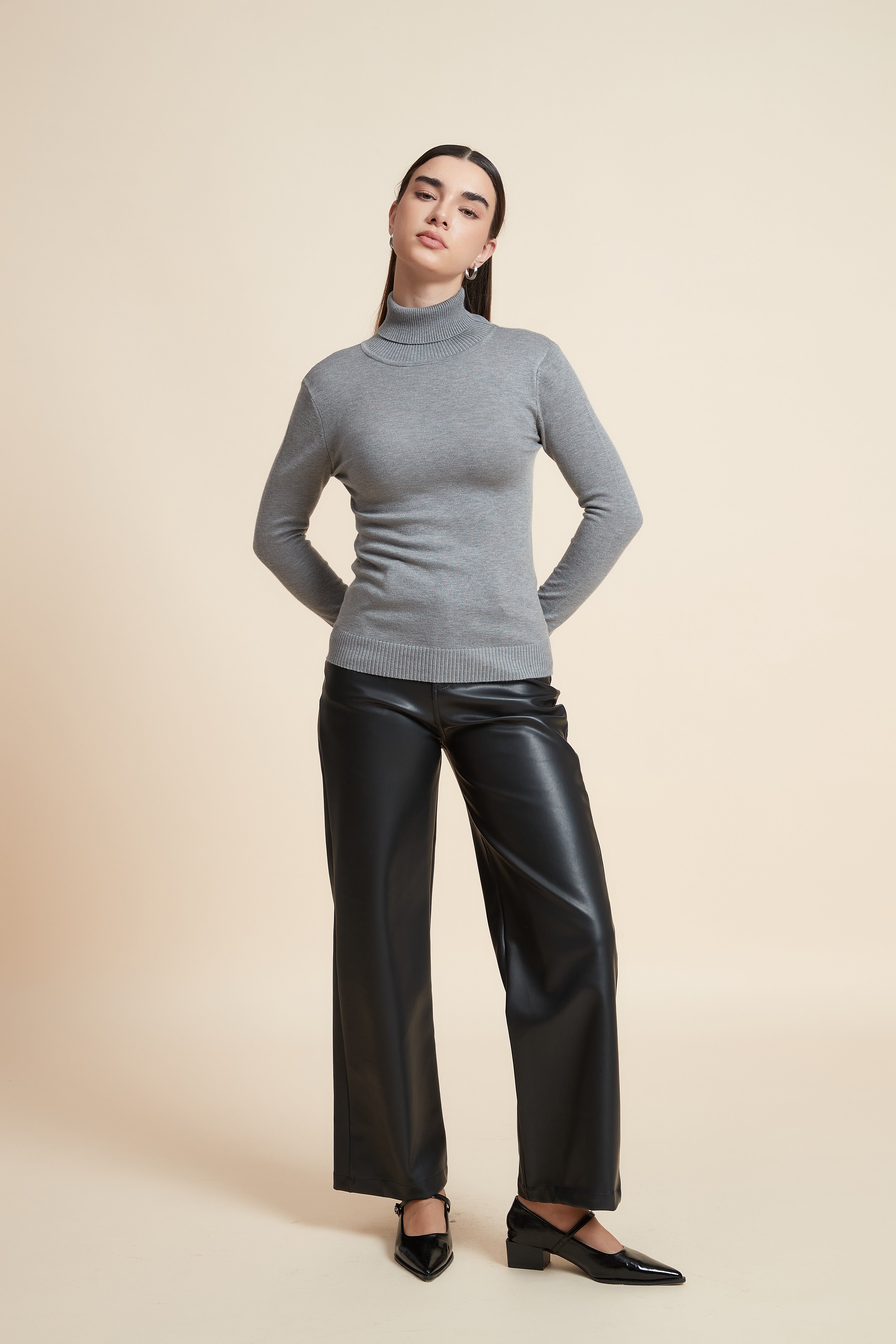 Long Sleeve Solid Blouse with High Neck