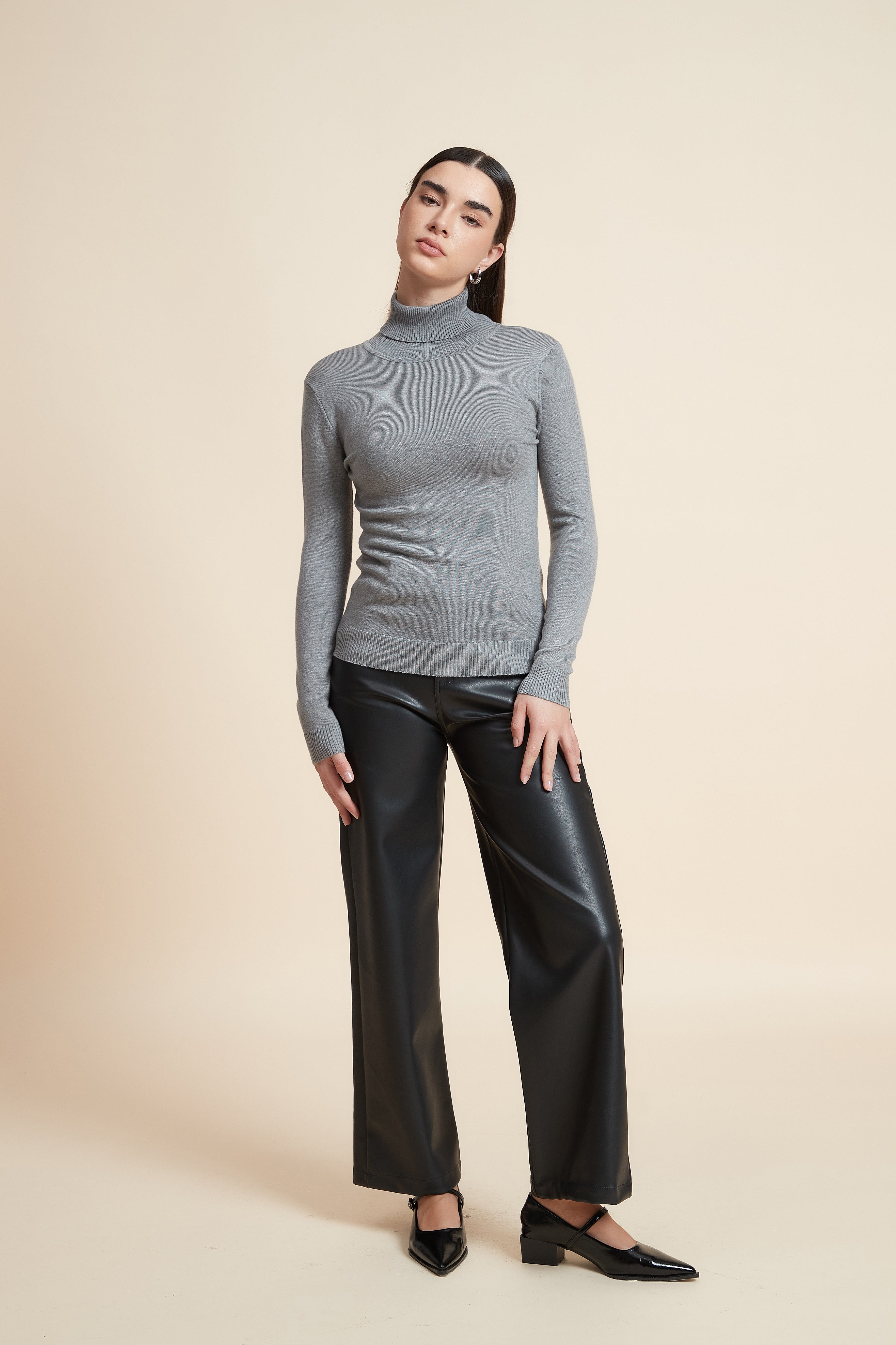 Long Sleeve Solid Blouse with High Neck