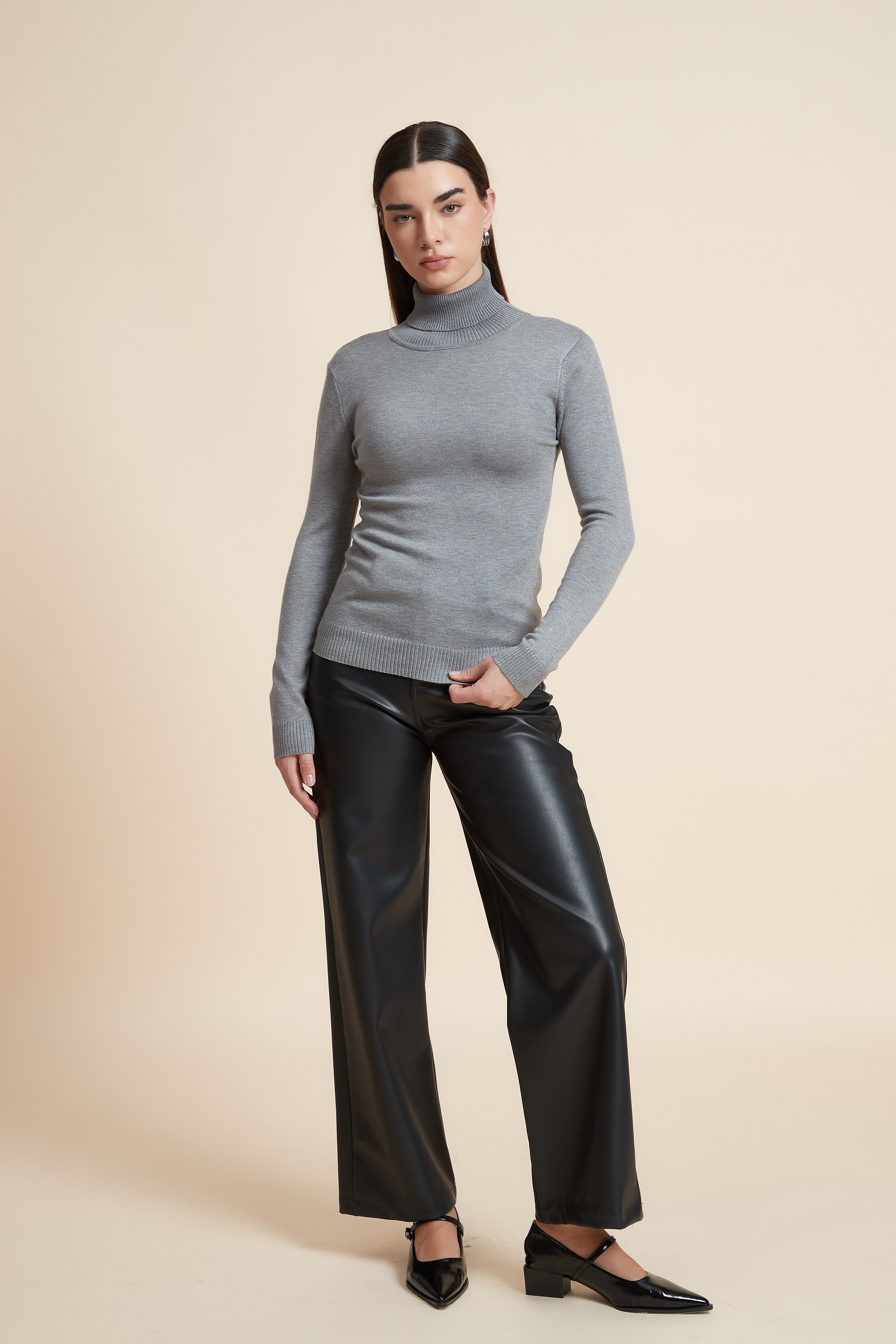 Long Sleeve Solid Blouse with High Neck