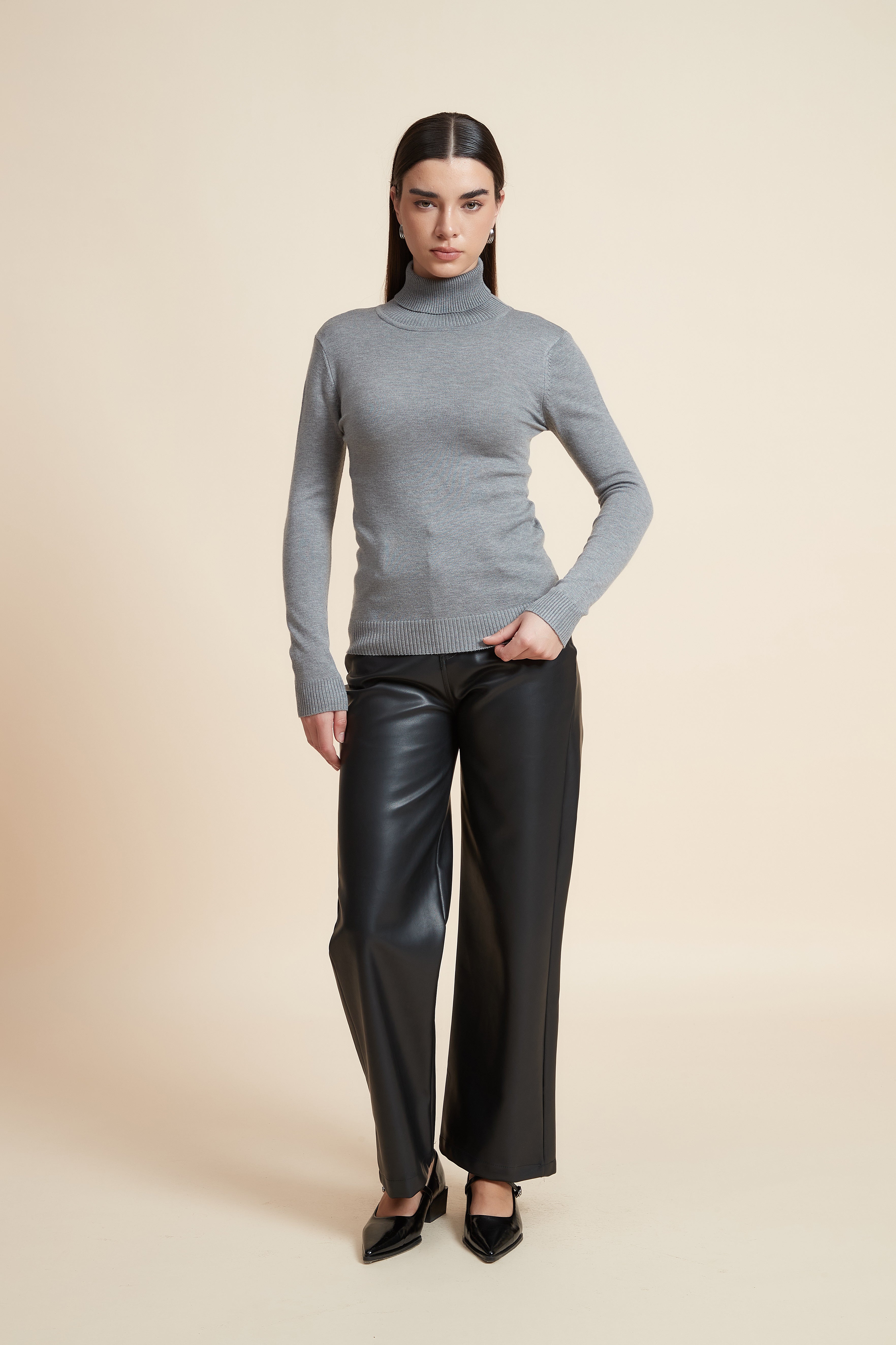 Long Sleeve Solid Blouse with High Neck