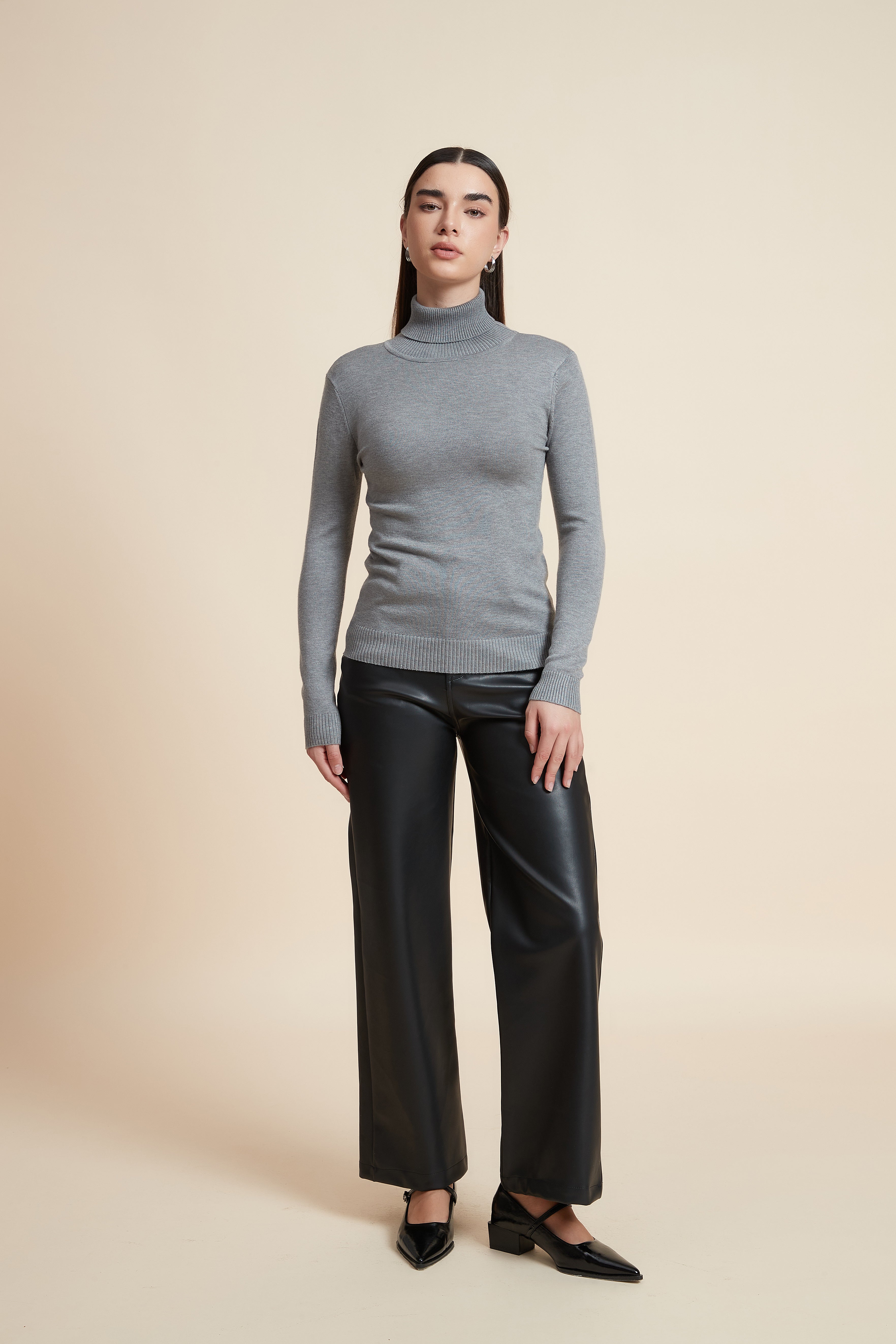 Long Sleeve Solid Blouse with High Neck