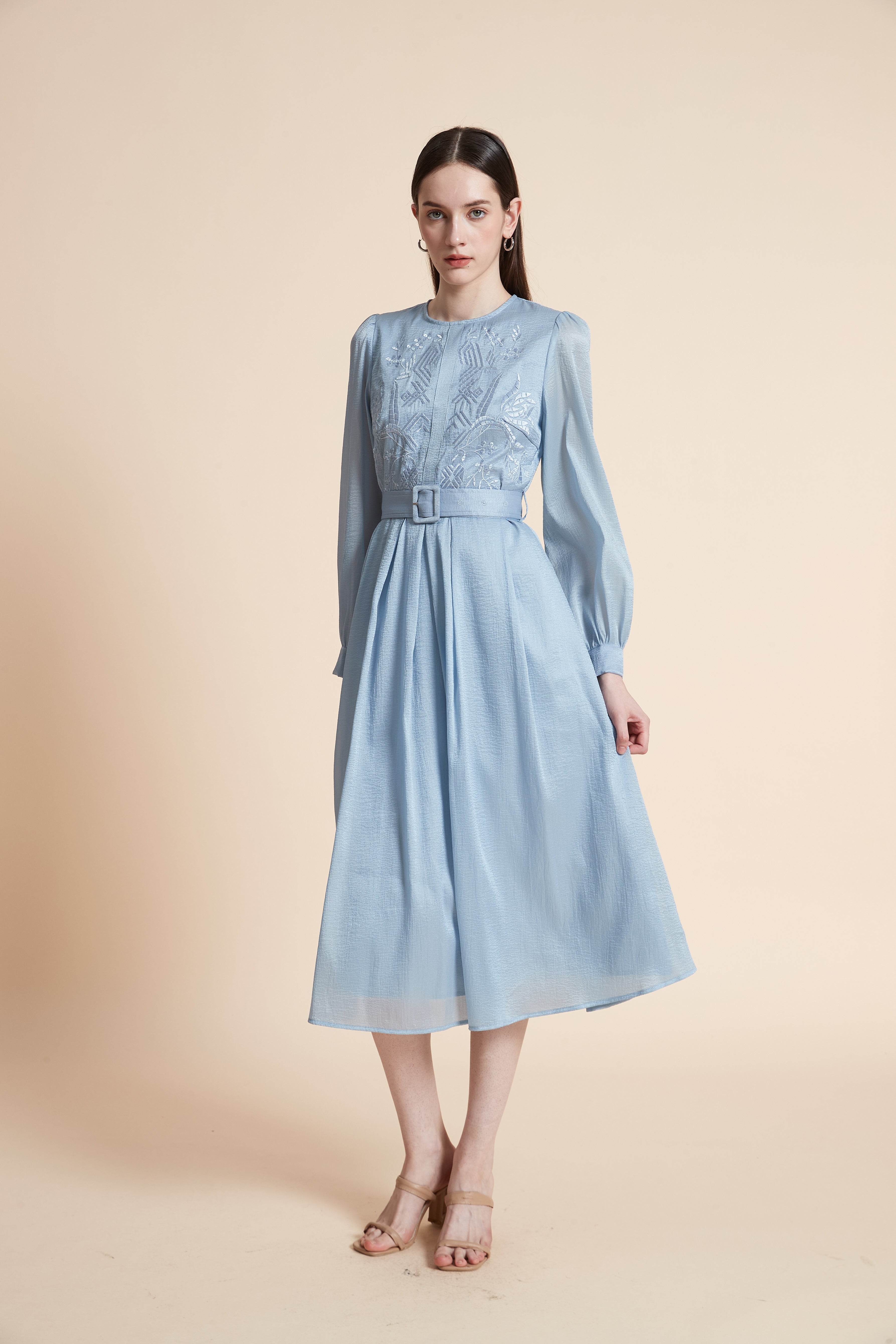 Embroidered Bodice Long Sleeve Midi Dress
