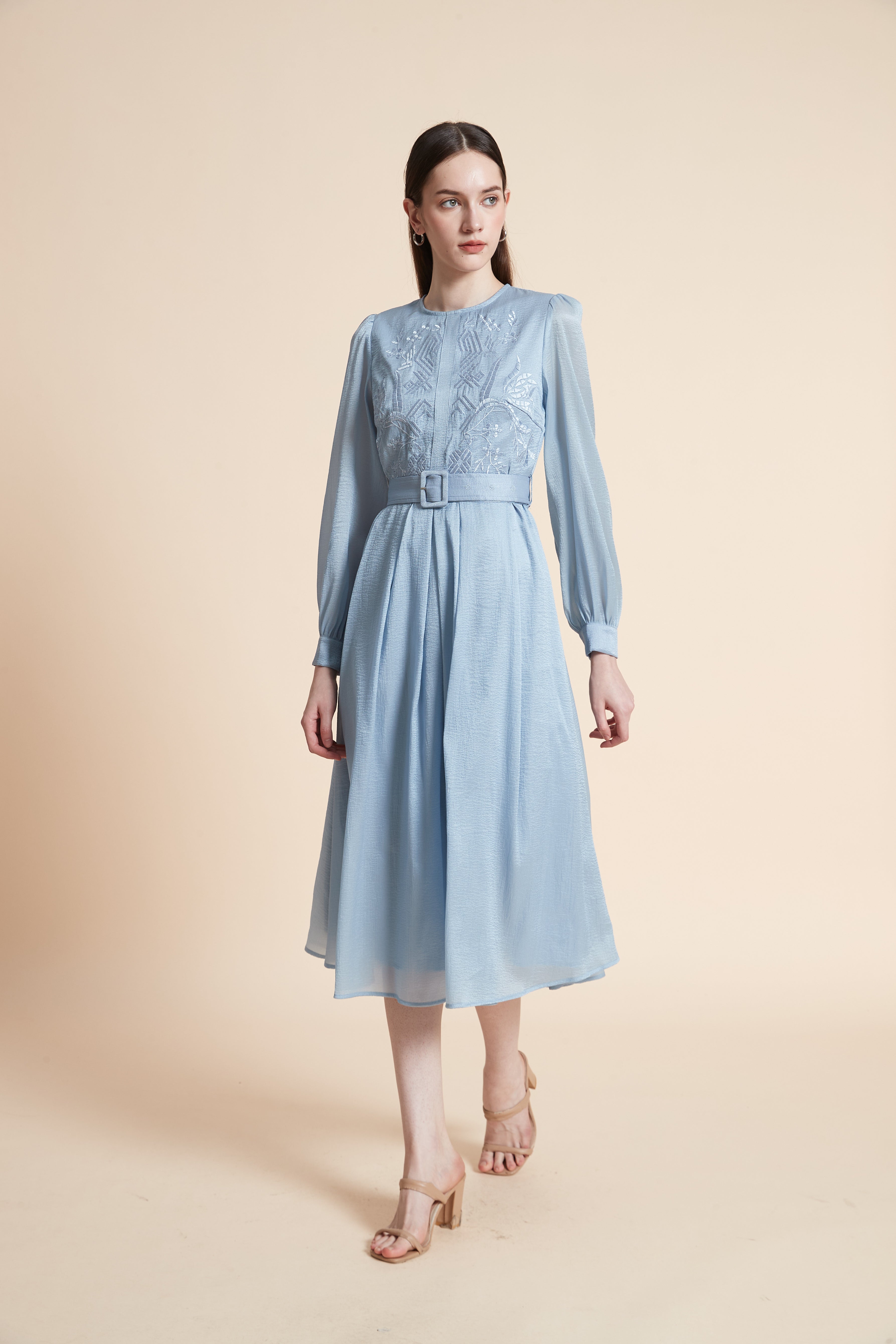 Embroidered Bodice Long Sleeve Midi Dress