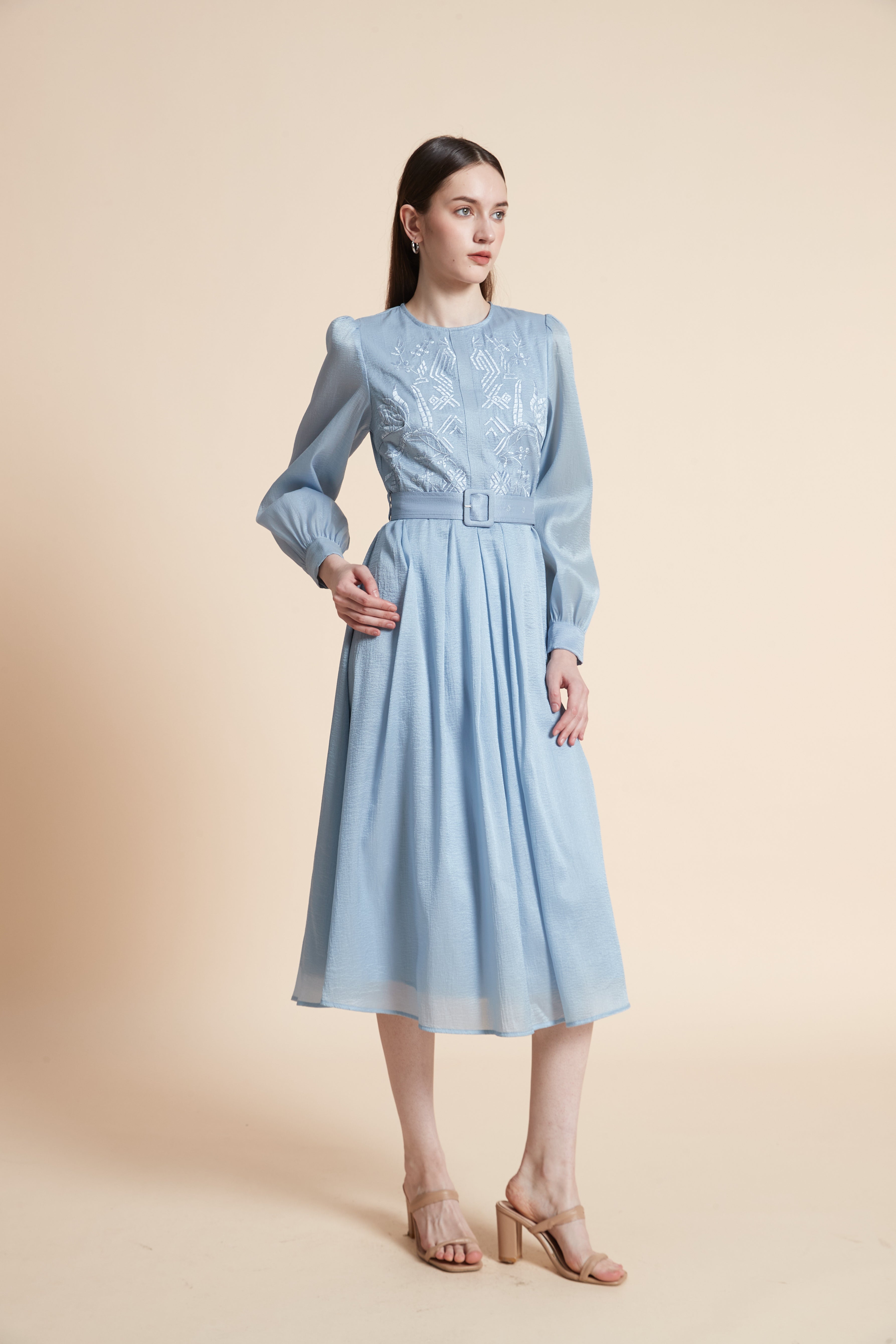 Embroidered Bodice Long Sleeve Midi Dress