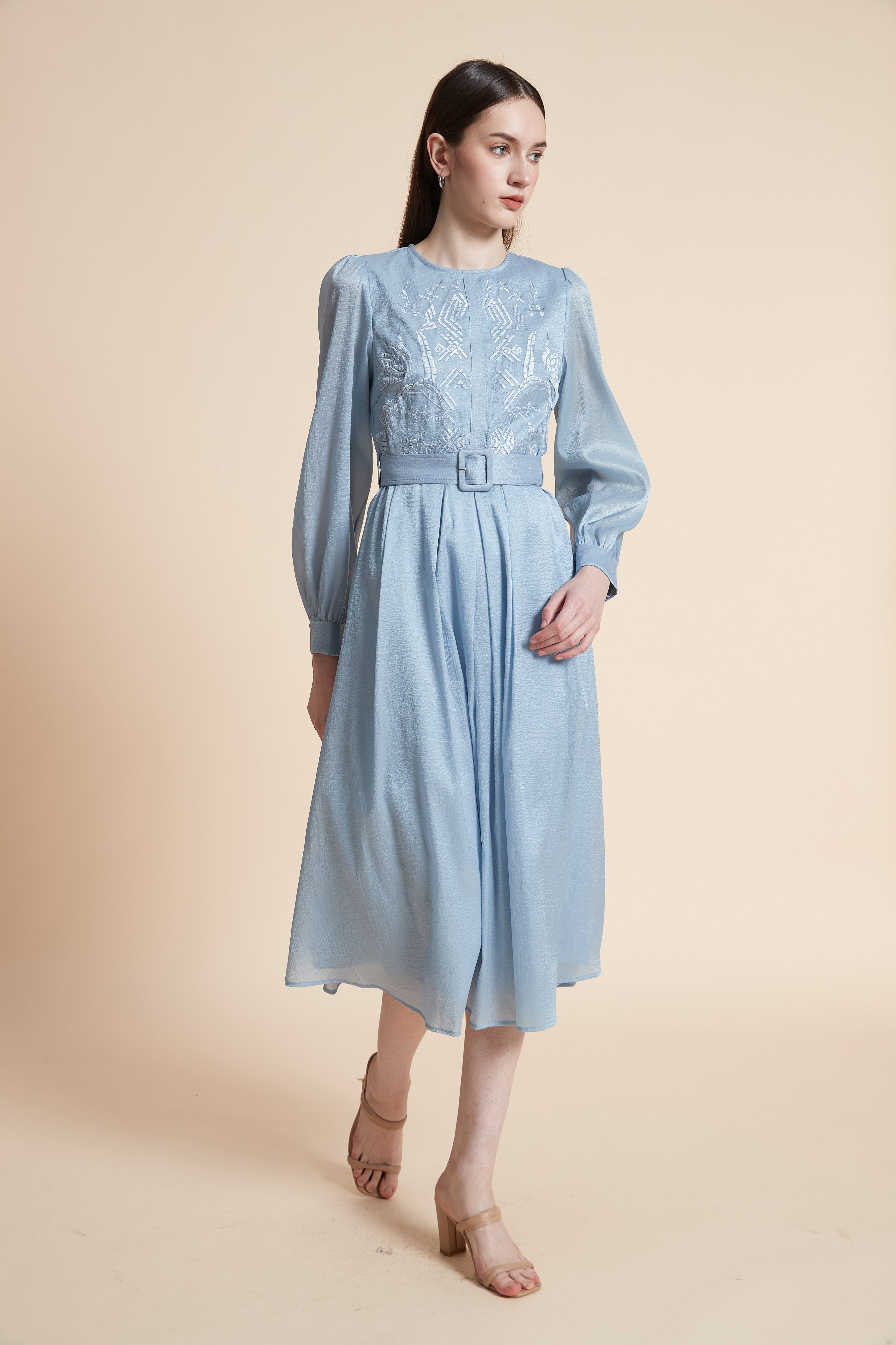 Embroidered Bodice Long Sleeve Midi Dress