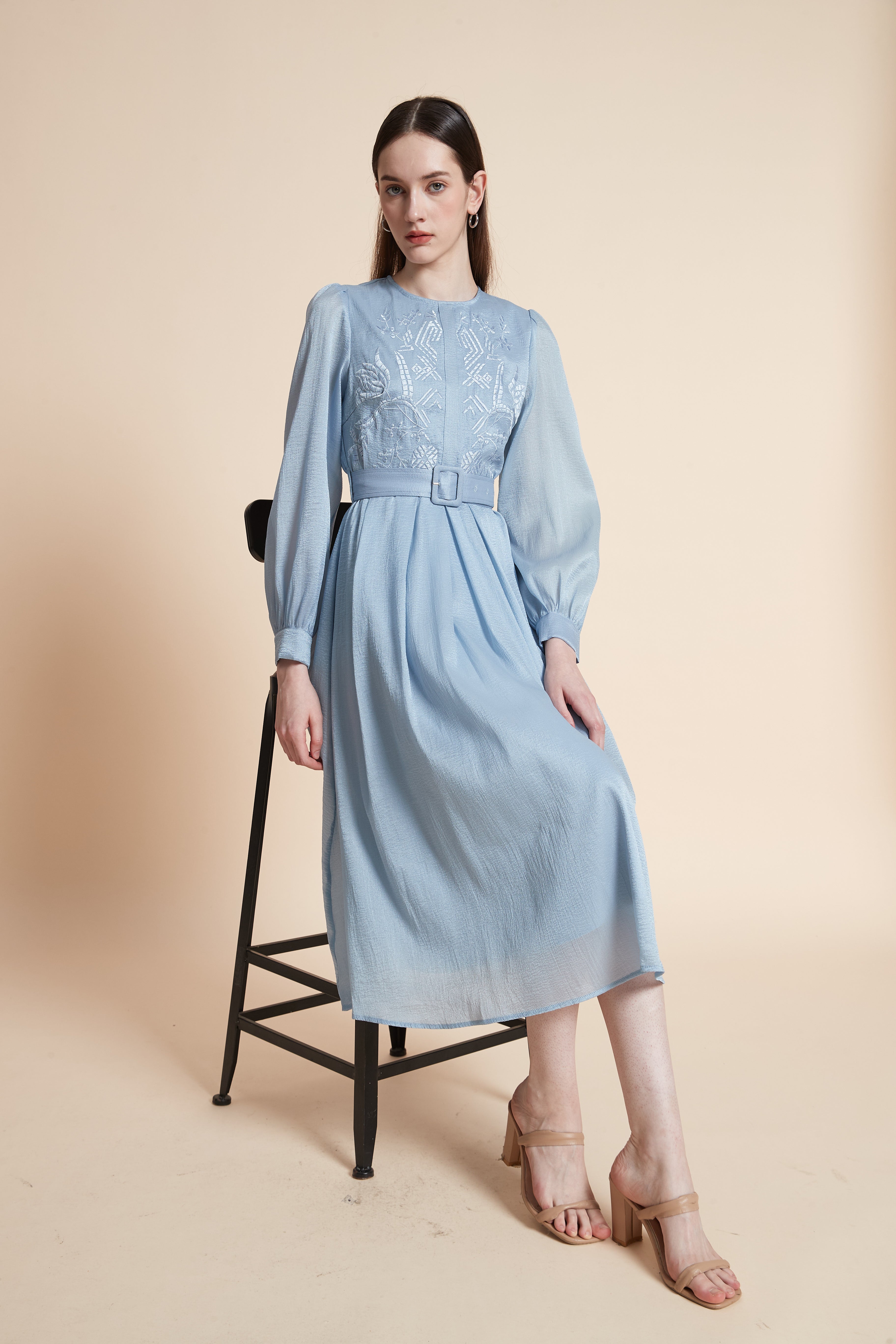 Embroidered Bodice Long Sleeve Midi Dress