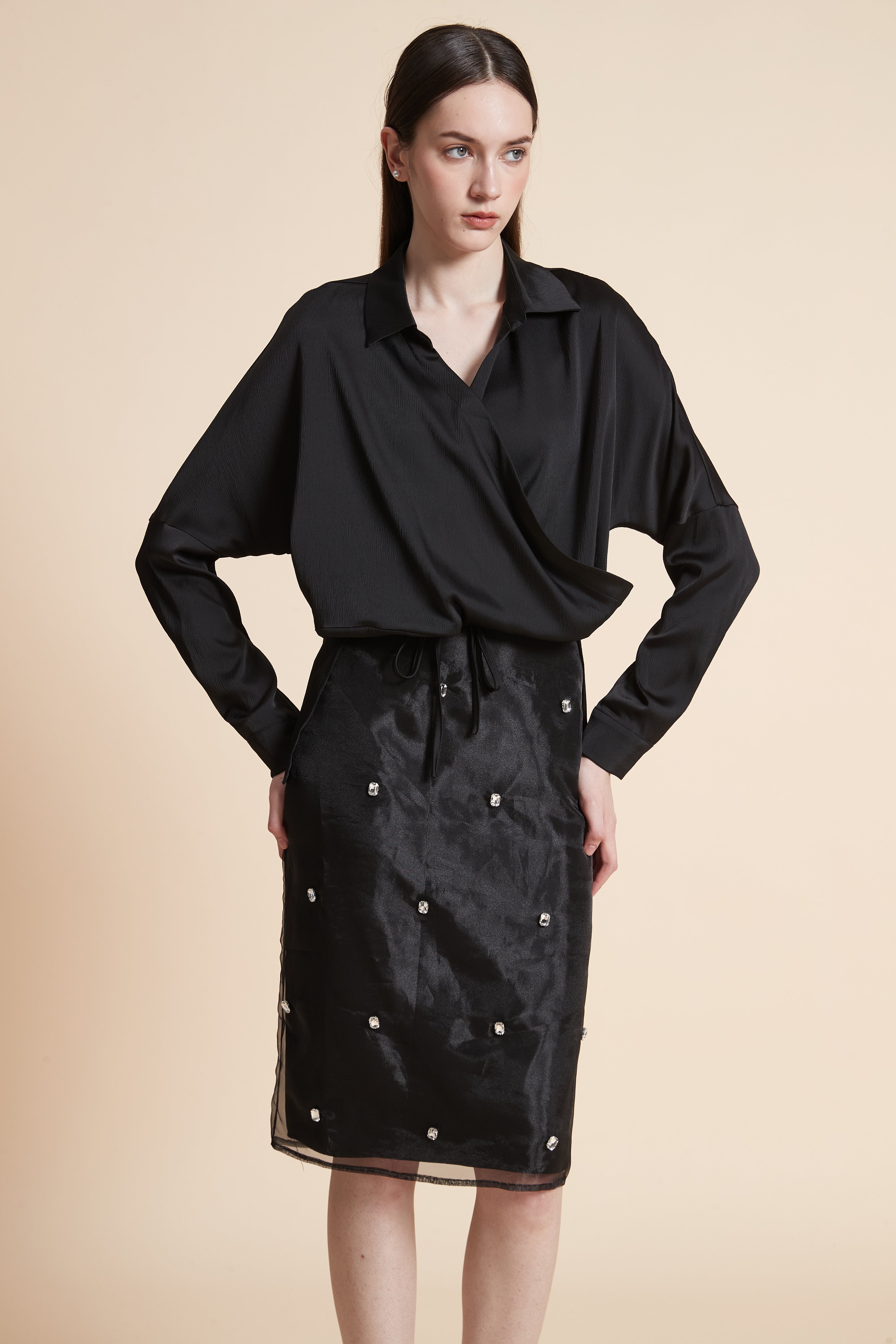 Solid Long Sleeve Blouse