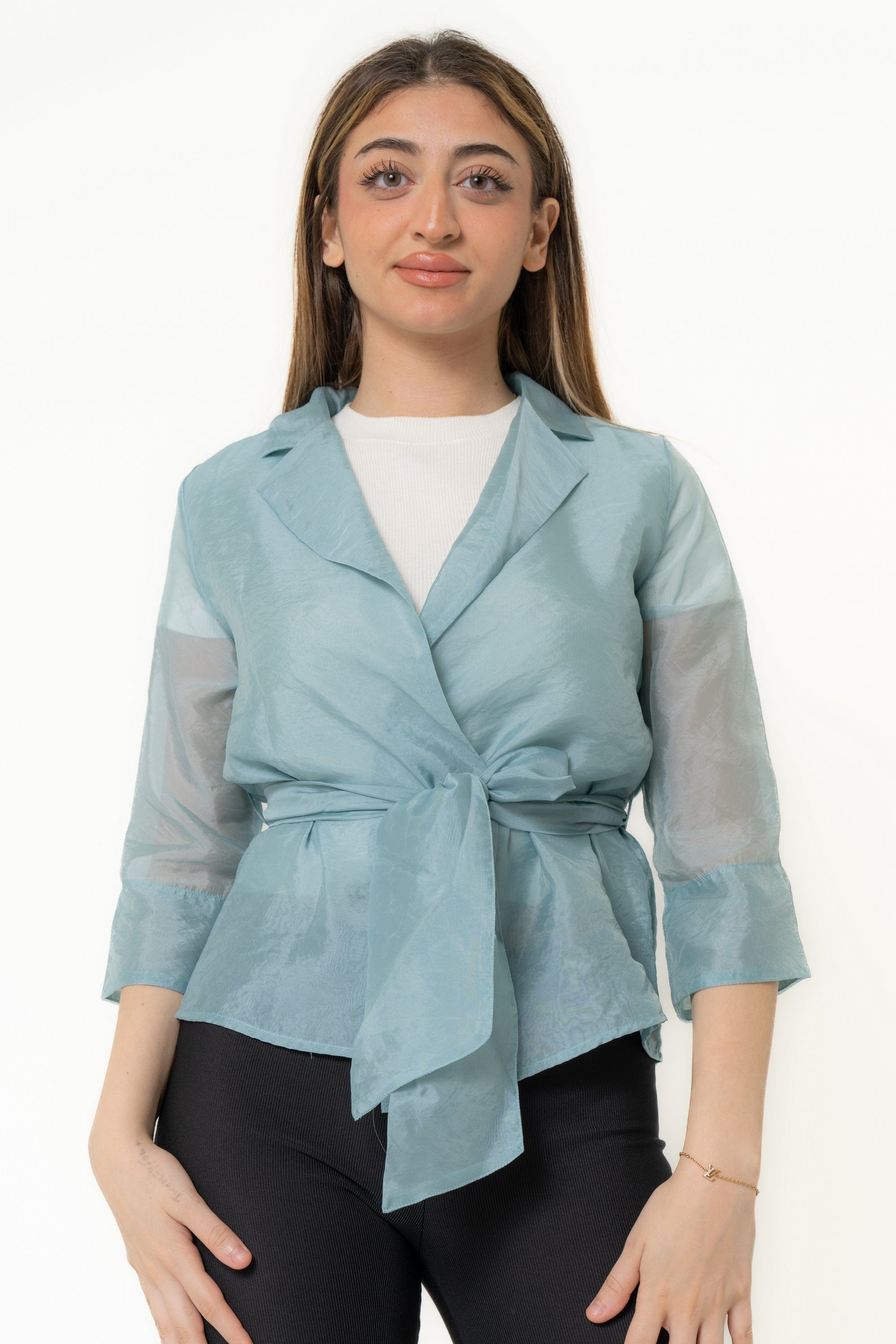 Sheer Plain Long Sleeve Blouse