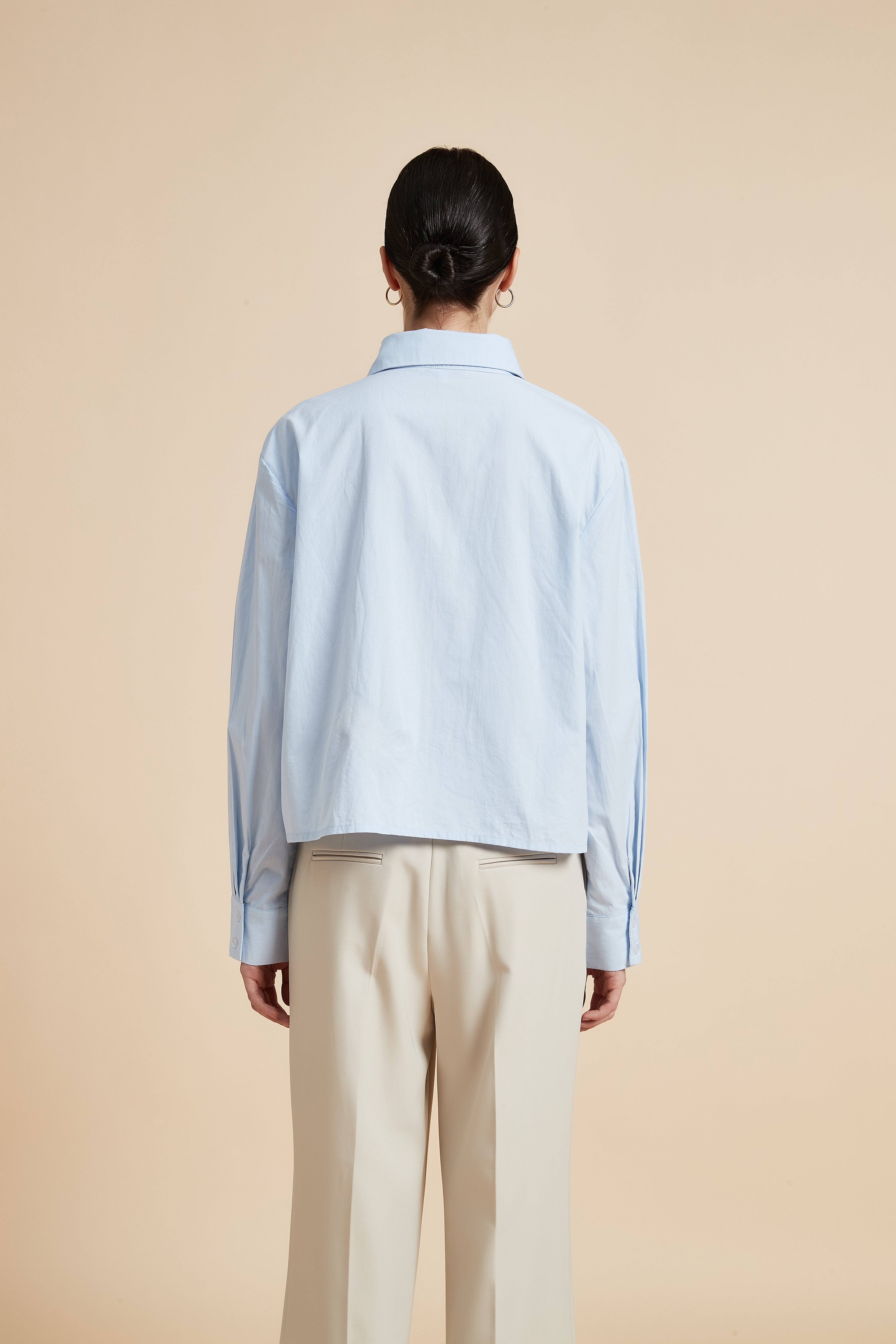 Solid Long Sleeve Blouse with Shirt Collar