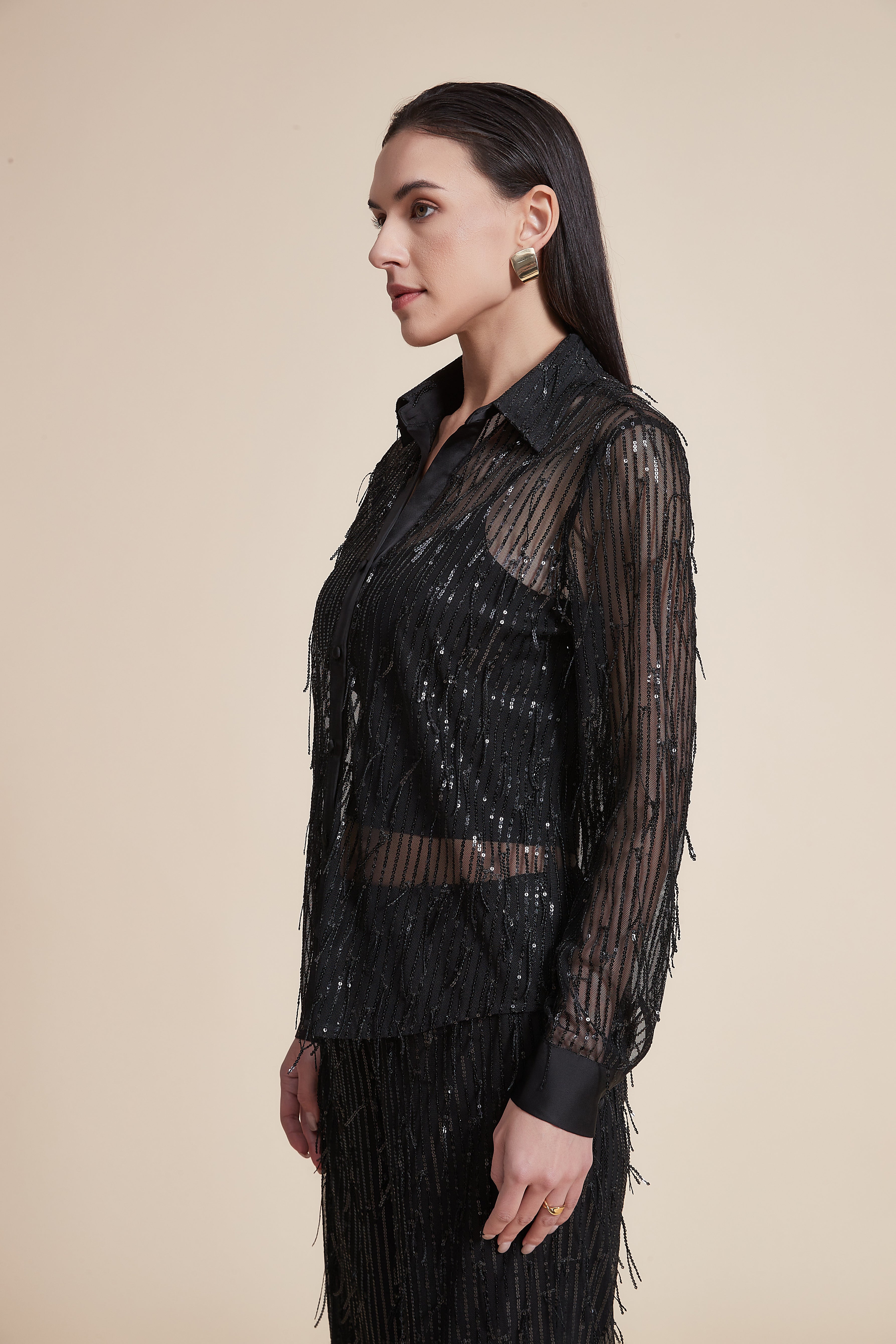 Long Sleeve Sequin Sheer Blouse