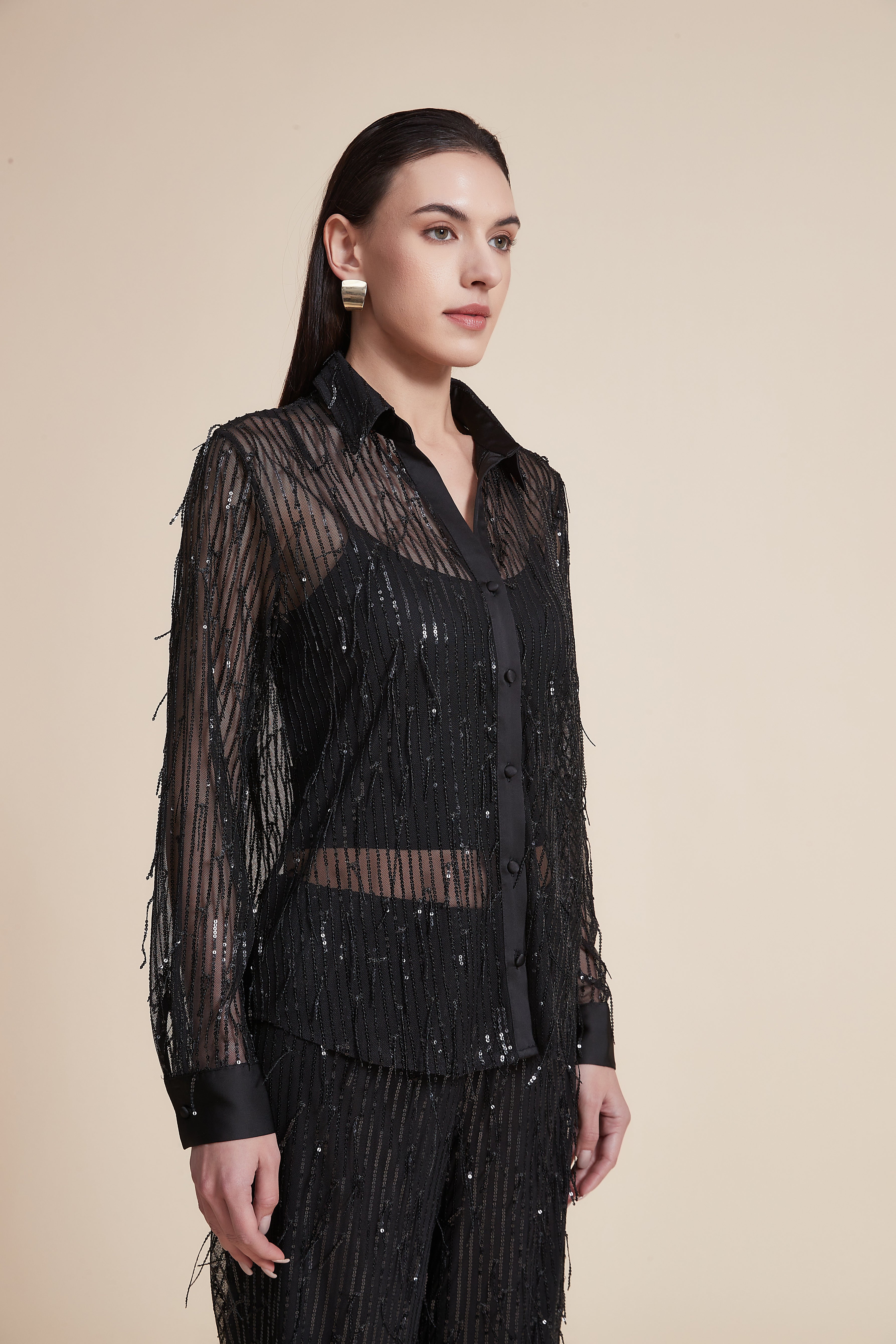 Long Sleeve Sequin Sheer Blouse