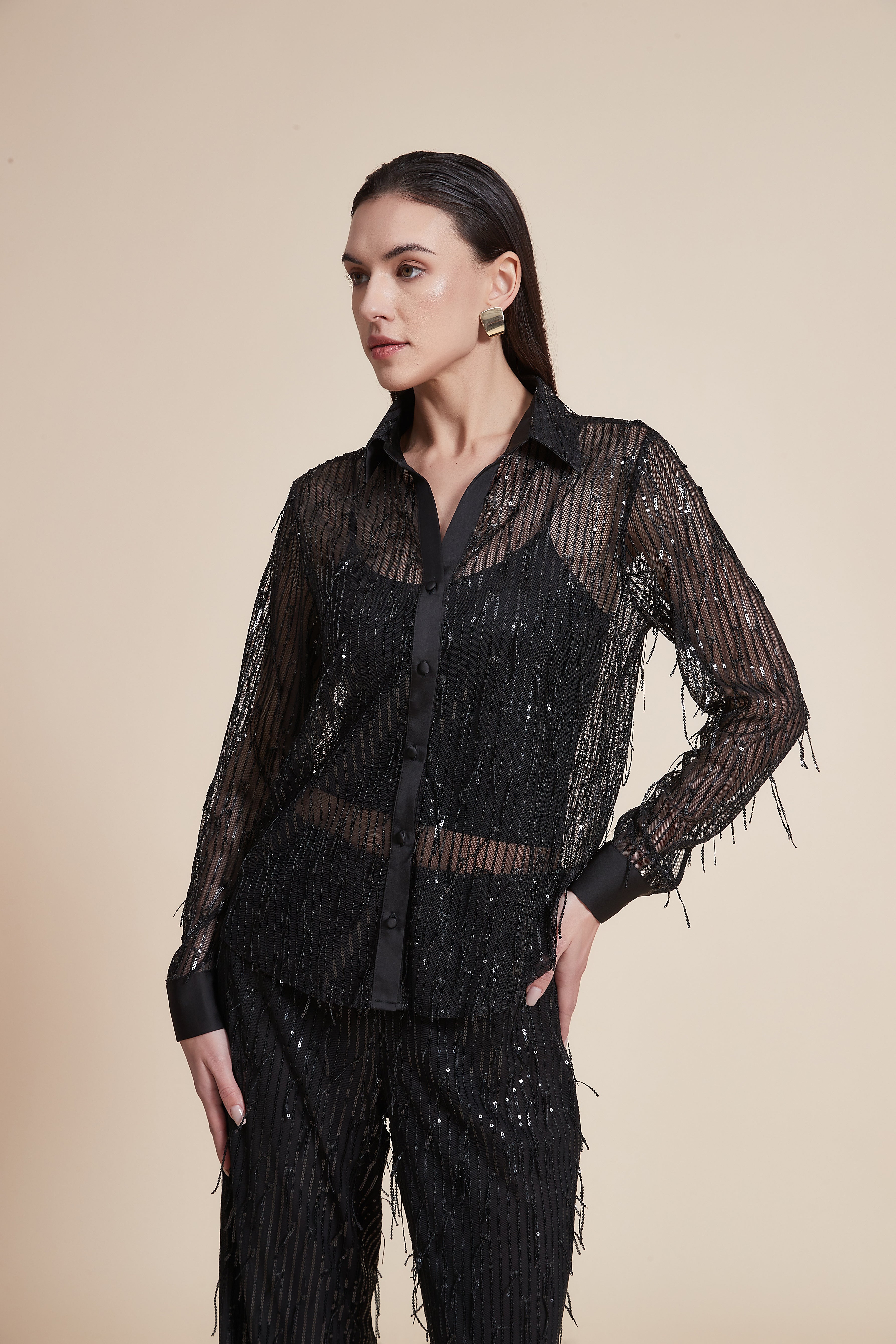 Long Sleeve Sequin Sheer Blouse