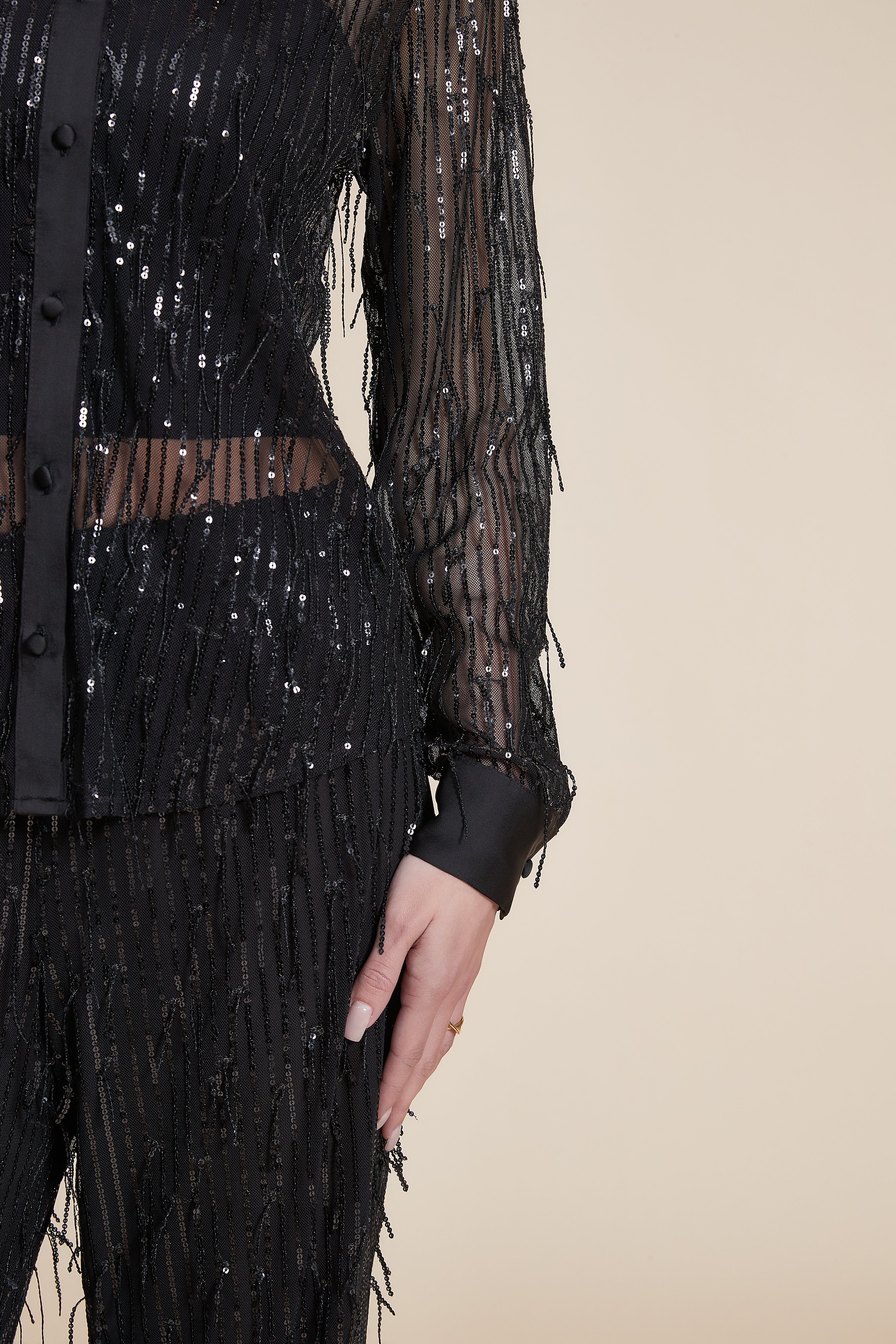 Long Sleeve Sequin Sheer Blouse