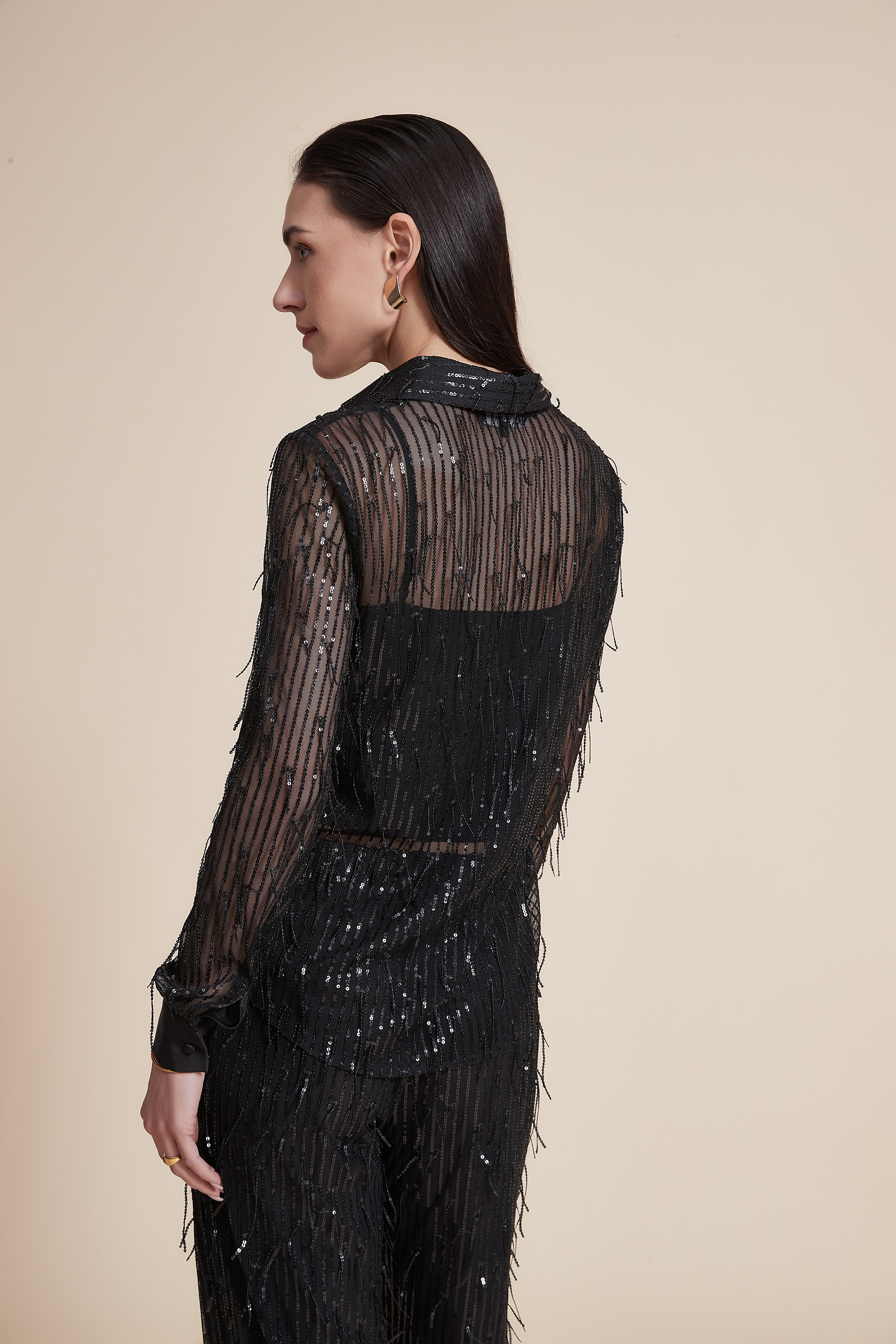 Long Sleeve Sequin Sheer Blouse