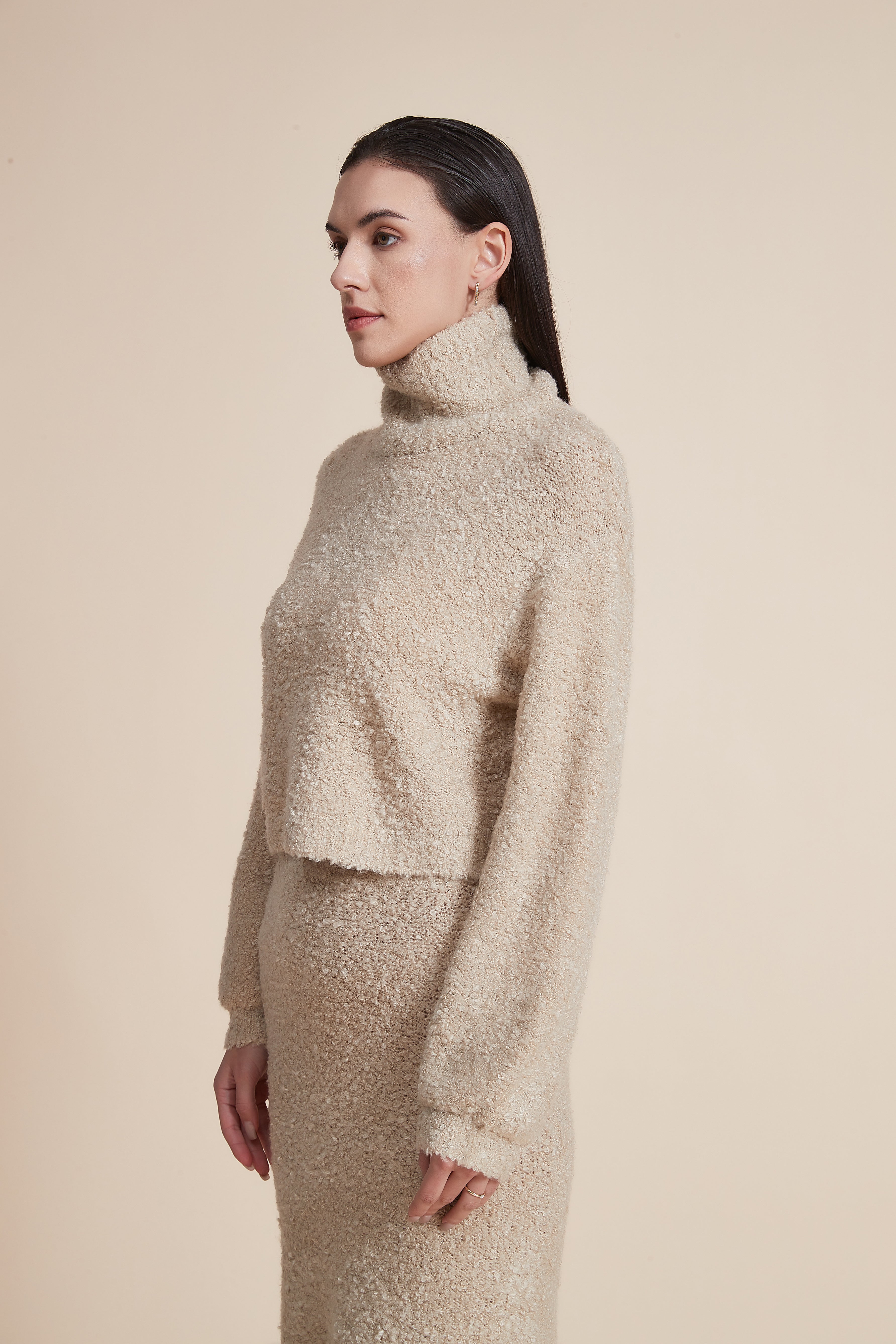 Solid High Neck Long Sleeve Blouse