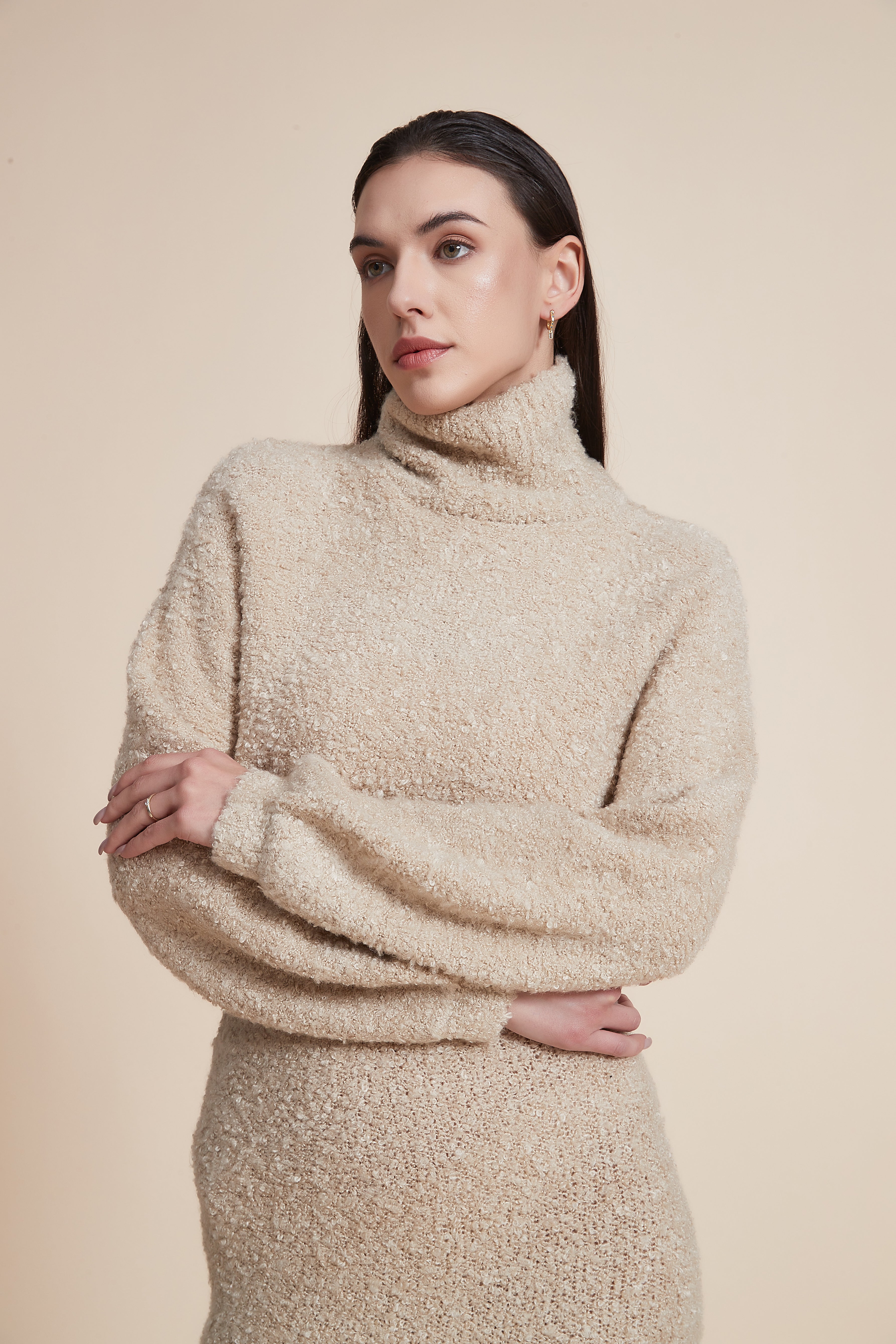 Solid High Neck Long Sleeve Blouse