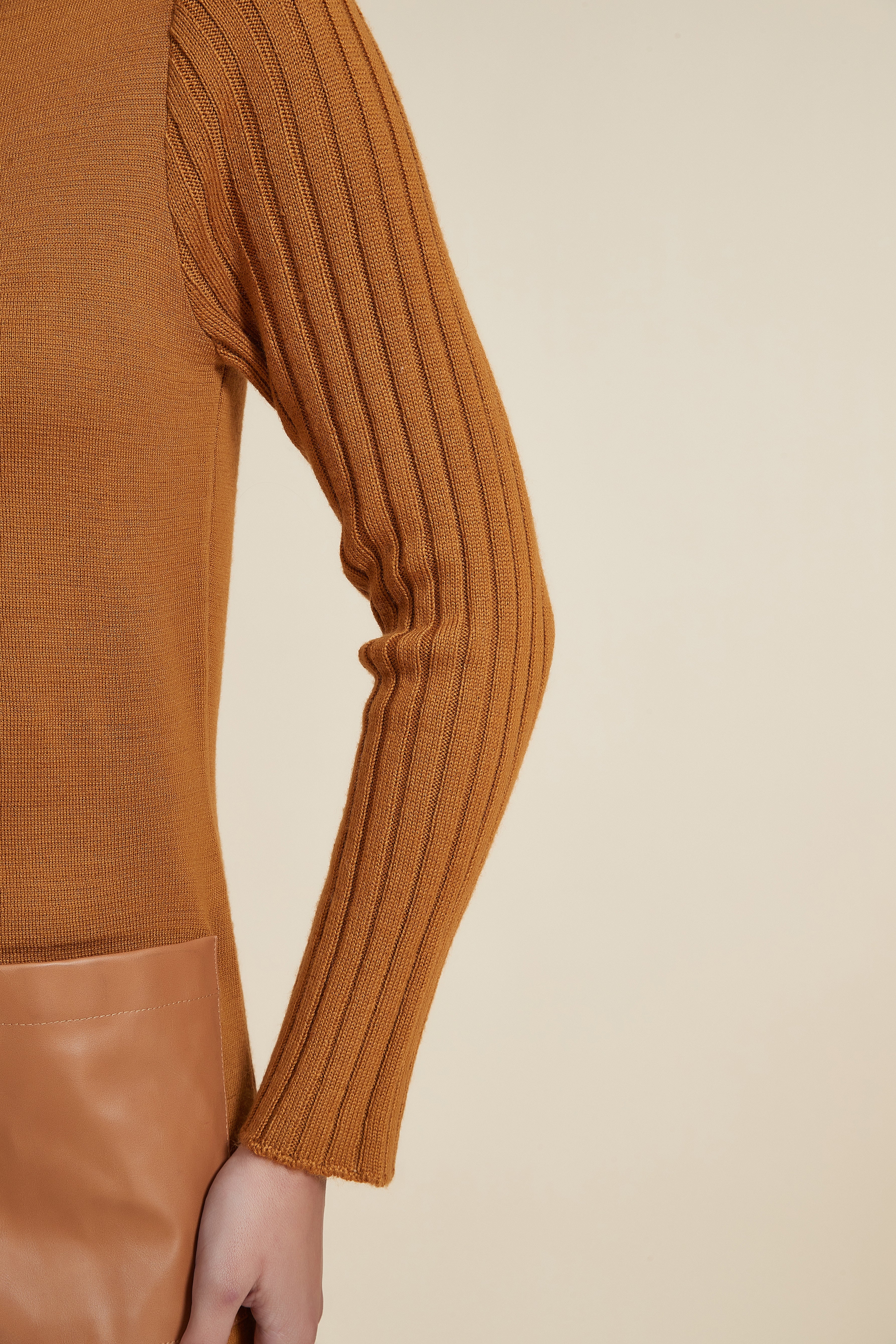 Plain Long-Sleeve Short Dress with High Neck