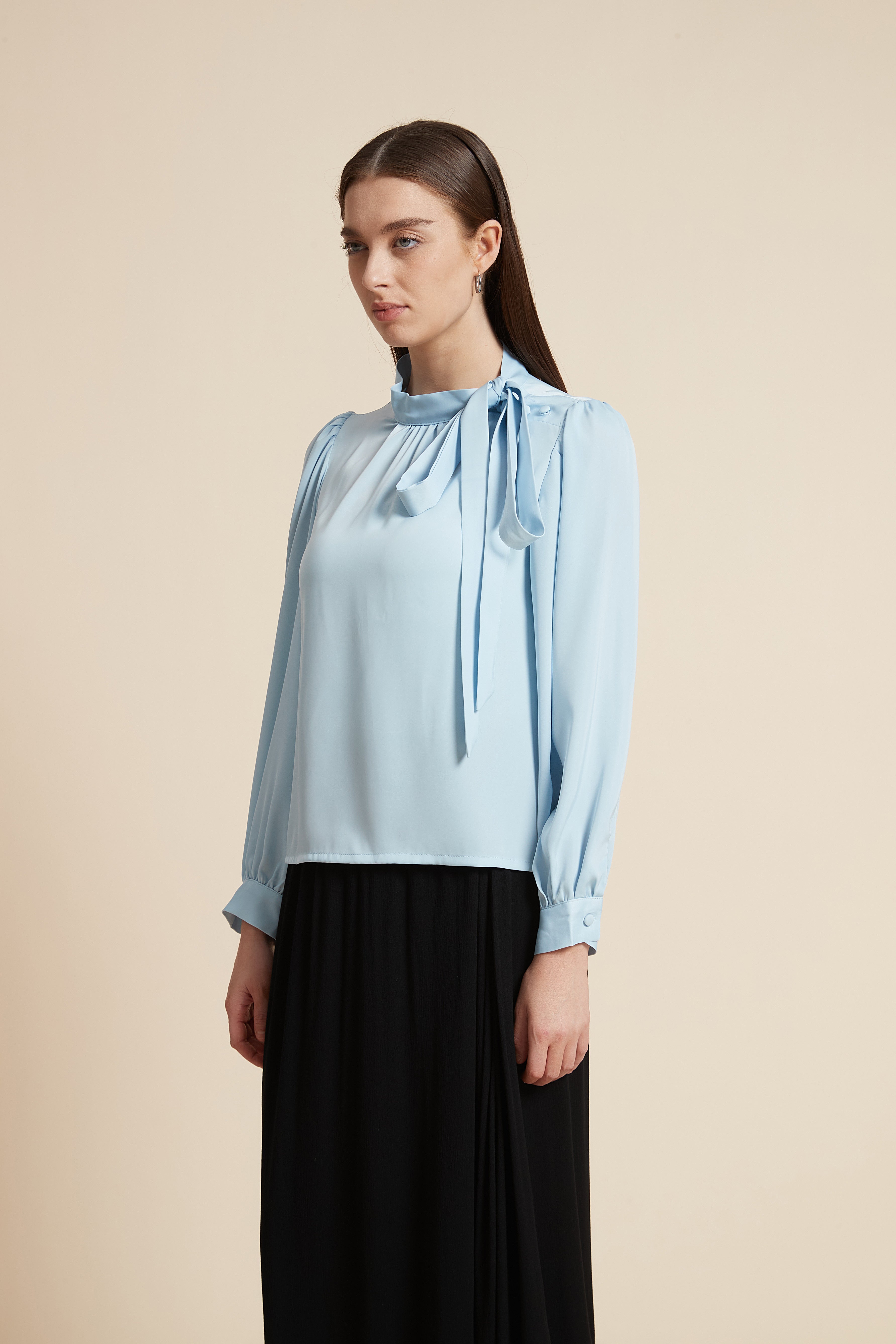 Long Sleeve Solid Blouse