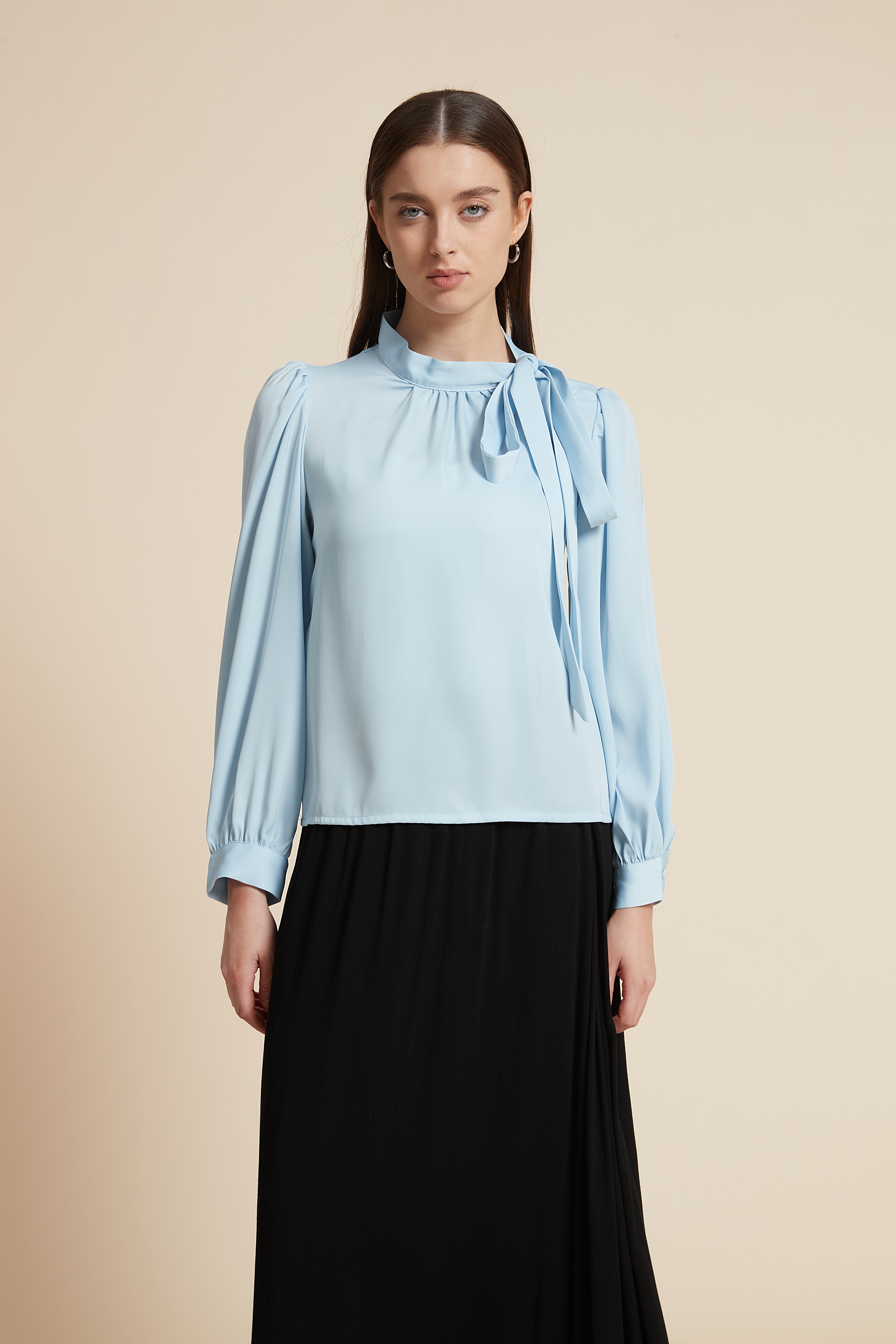 Long Sleeve Solid Blouse