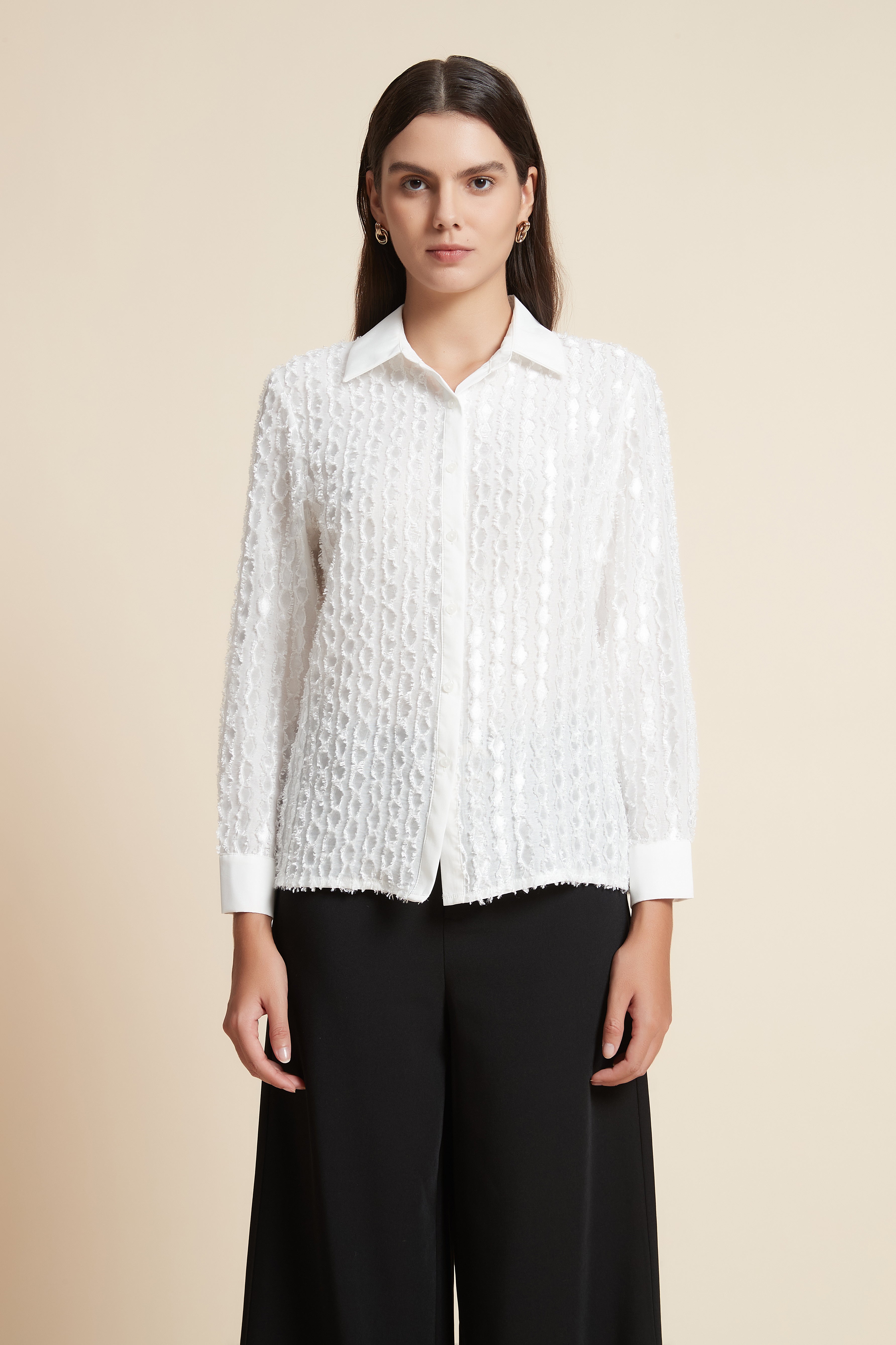 Long Sleeve Cropped Blouse