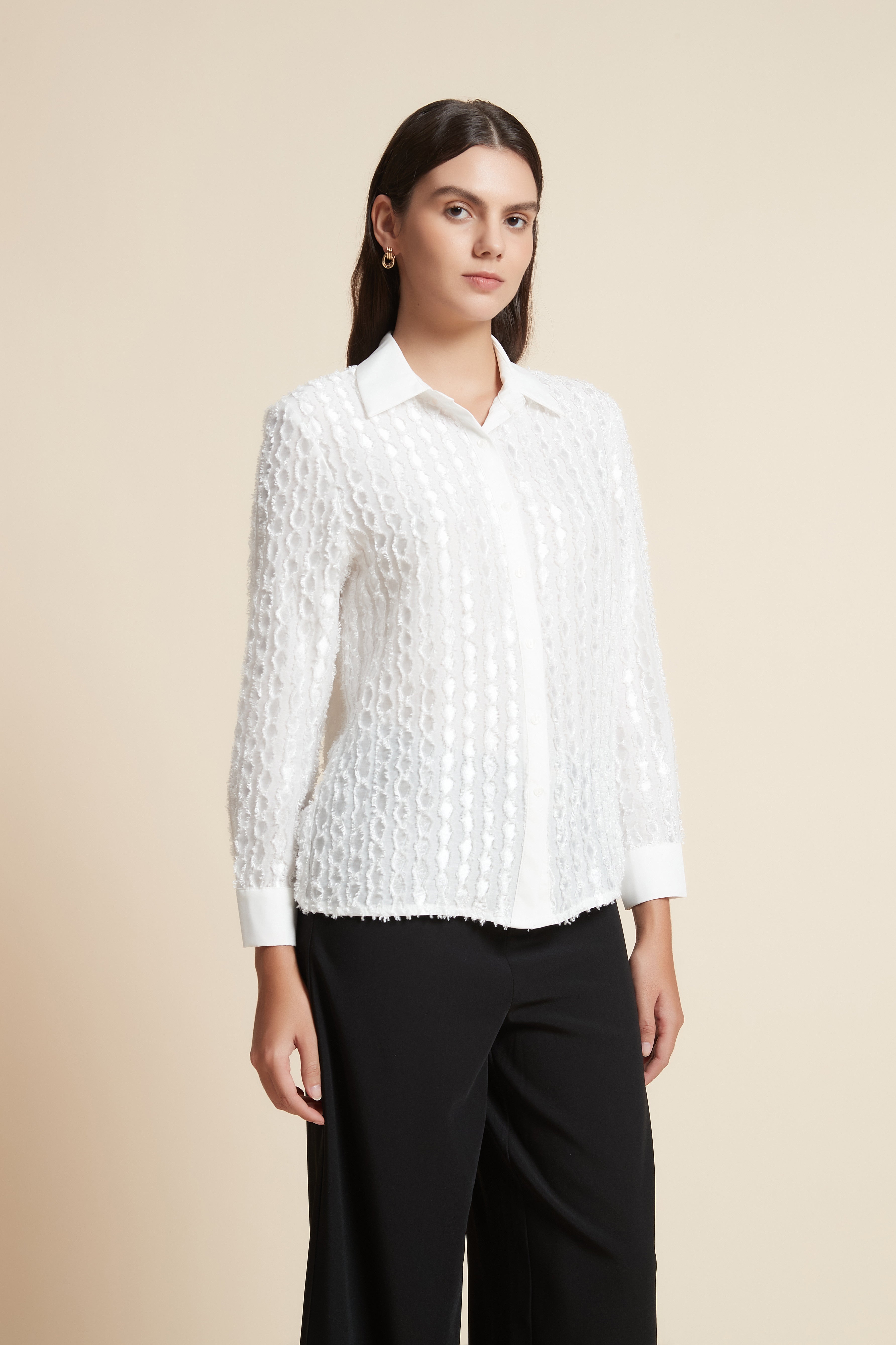Long Sleeve Cropped Blouse