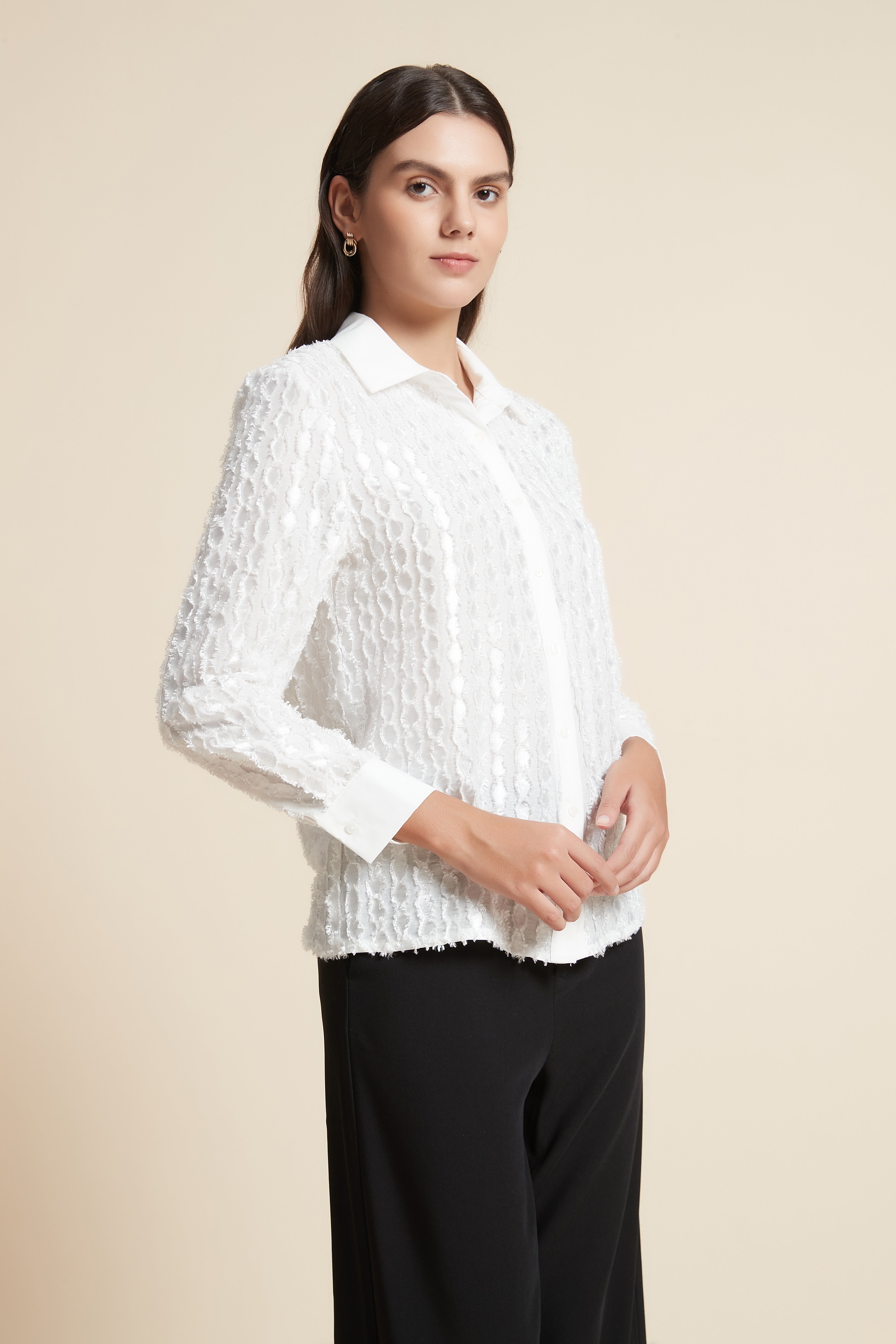Long Sleeve Cropped Blouse