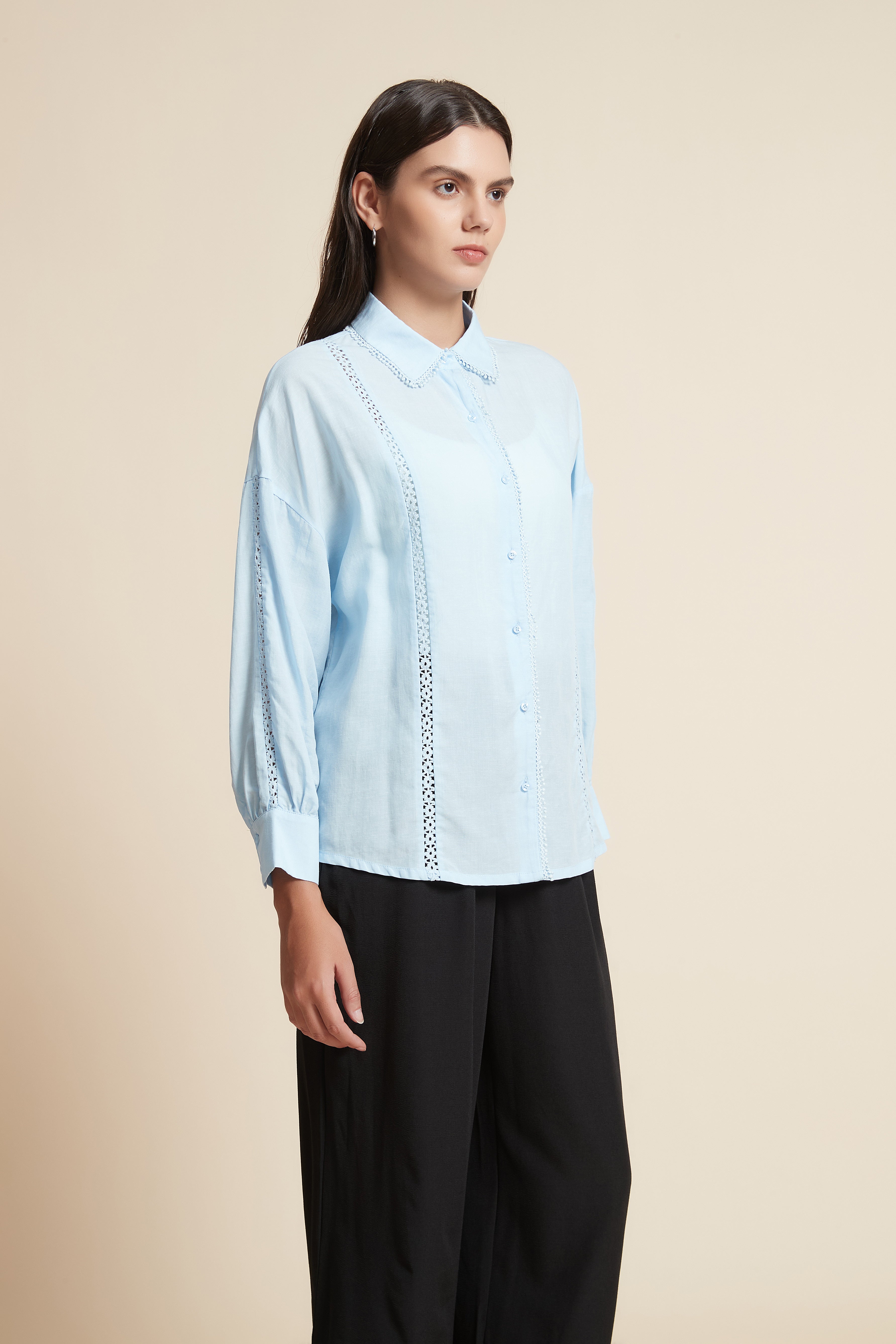 Long Sleeve Cropped Blouse