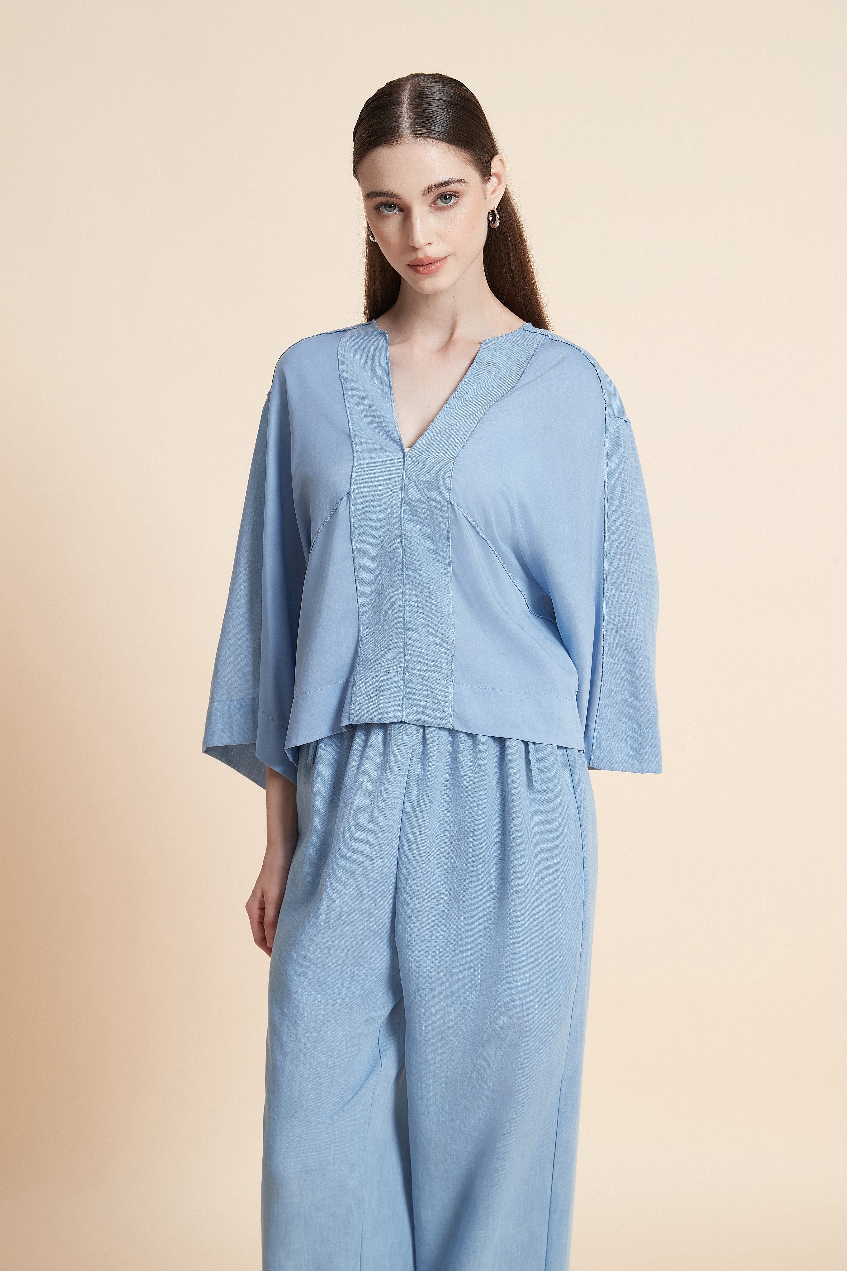Relaxed V-Neck House Top