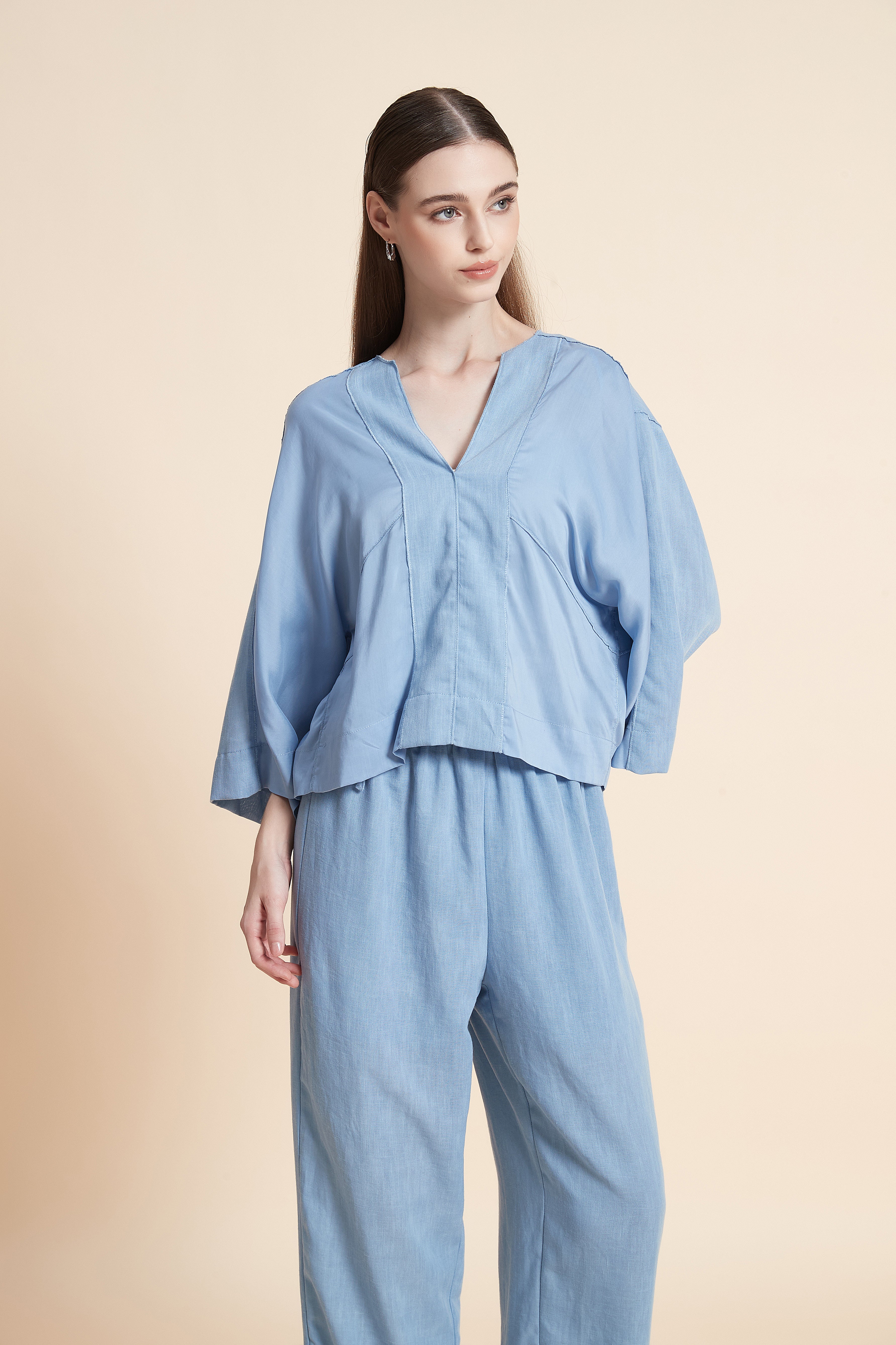 Relaxed V-Neck House Top