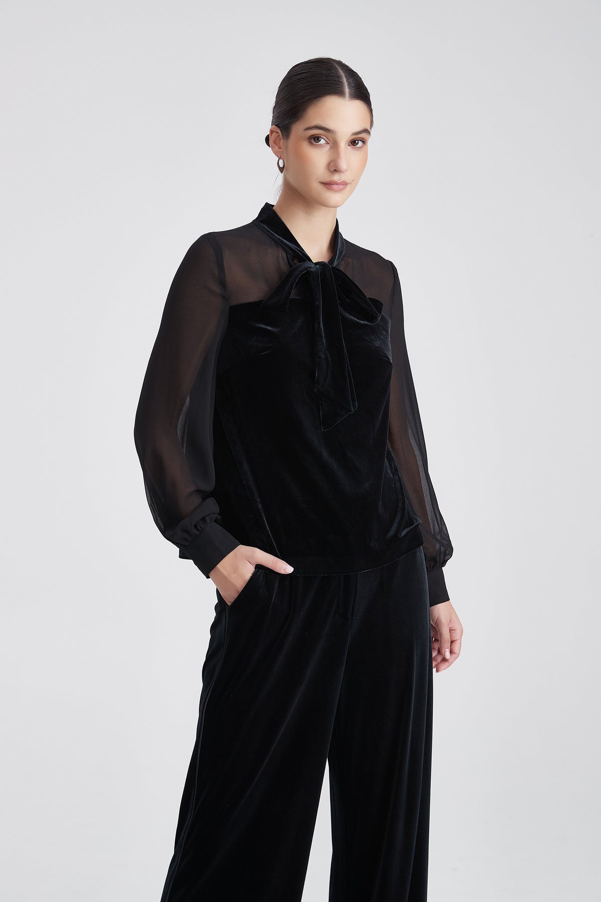 Velvet Blouse with Bow Neck and Sheer Chiffon Sleeves