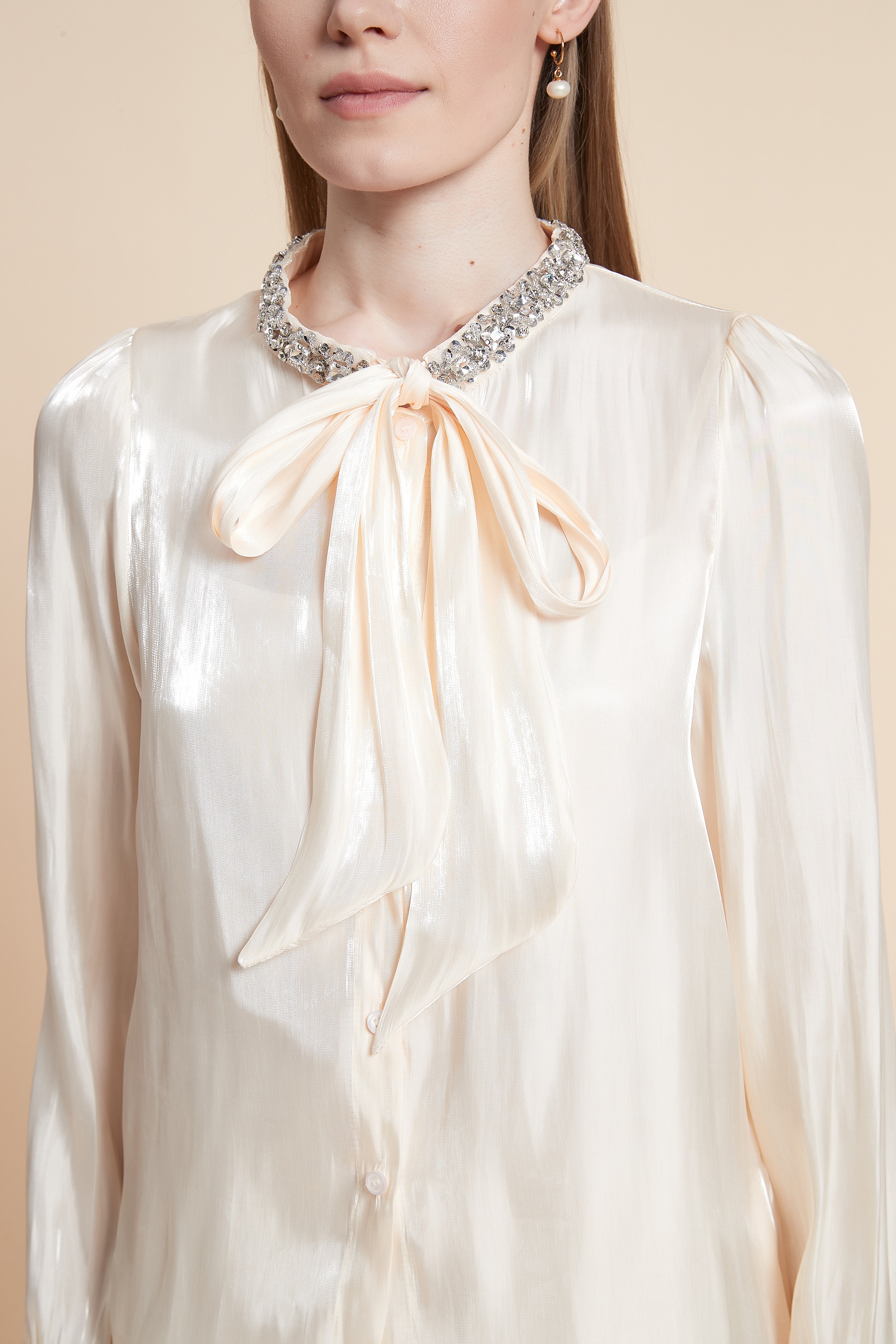 Long Sleeve Blouse with Neck Tie