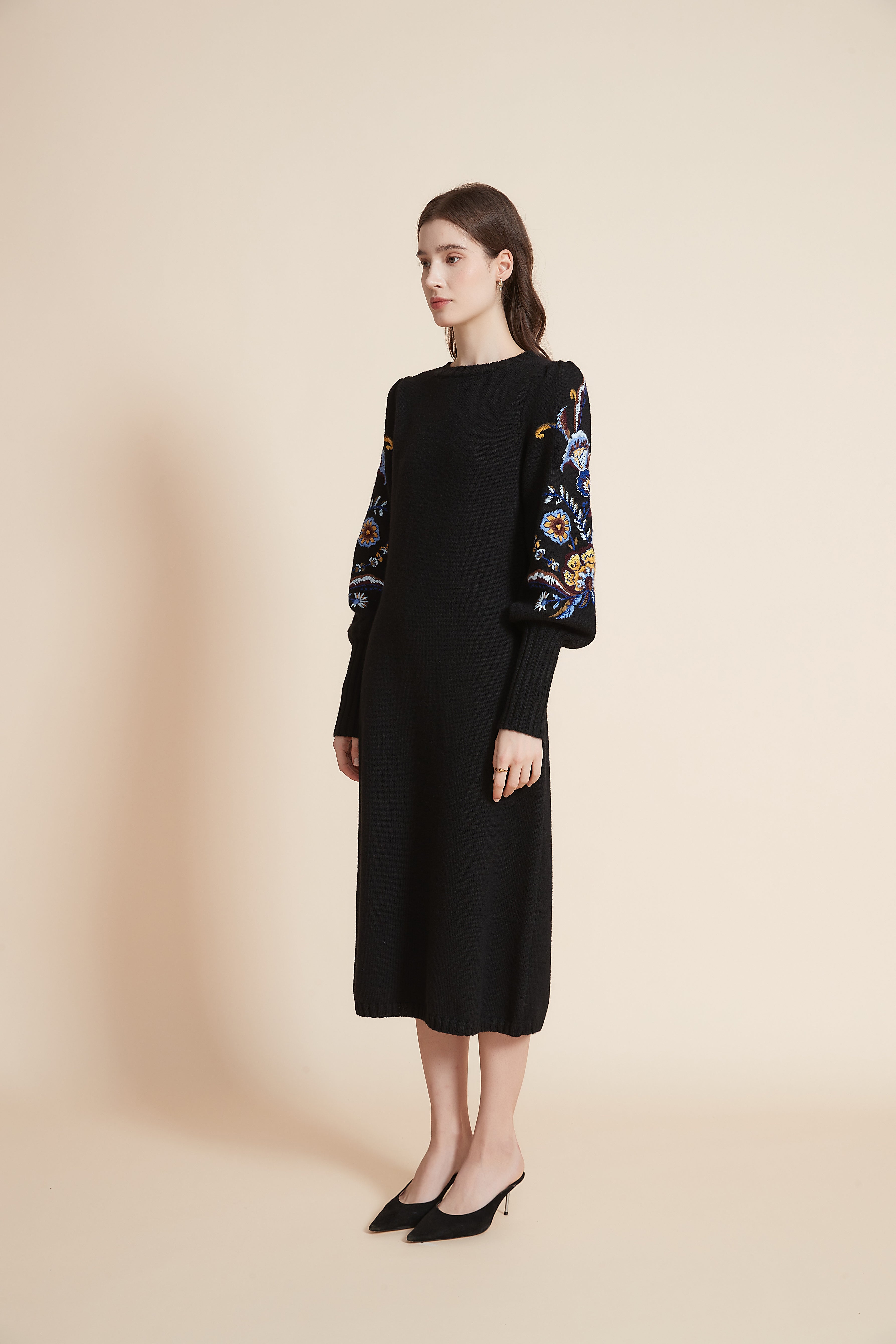 Embroidered Long Sleeve Midi Dress