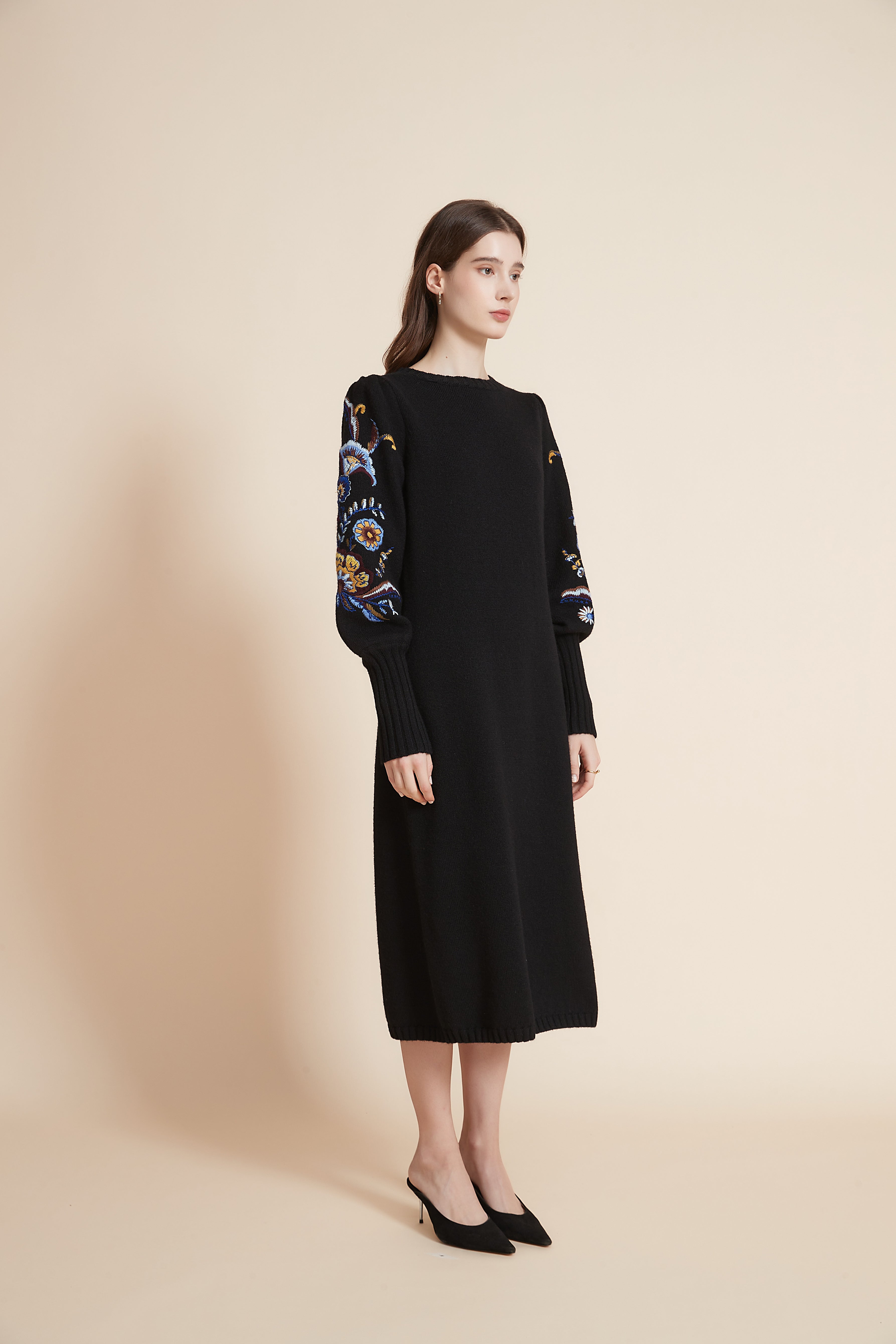 Embroidered Long Sleeve Midi Dress
